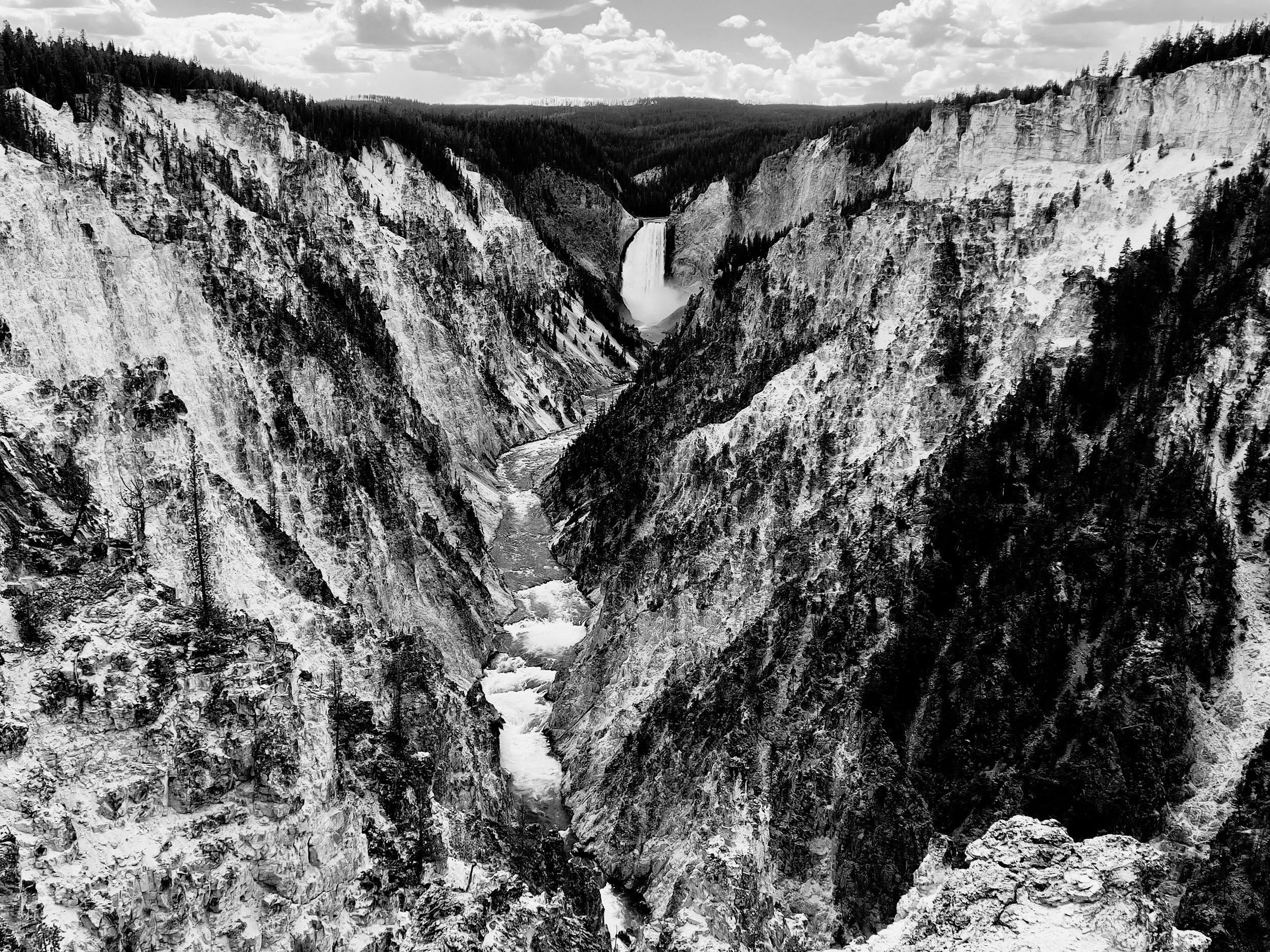 untitled (93 of 183).jpg