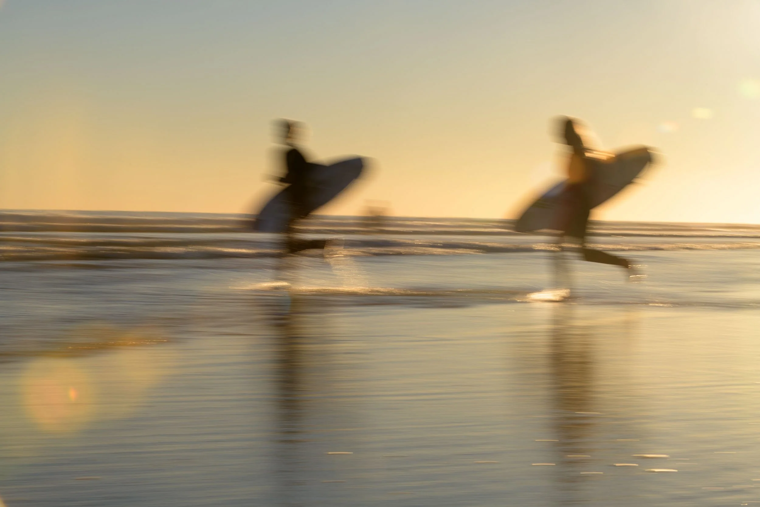 SURFER / BASTION