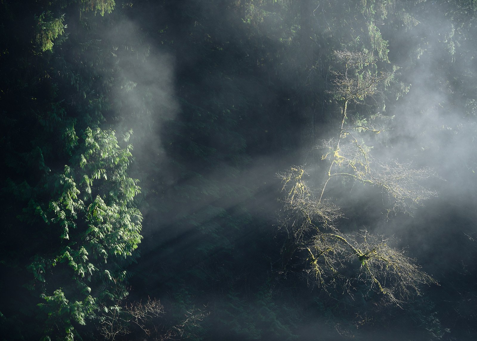 River mist