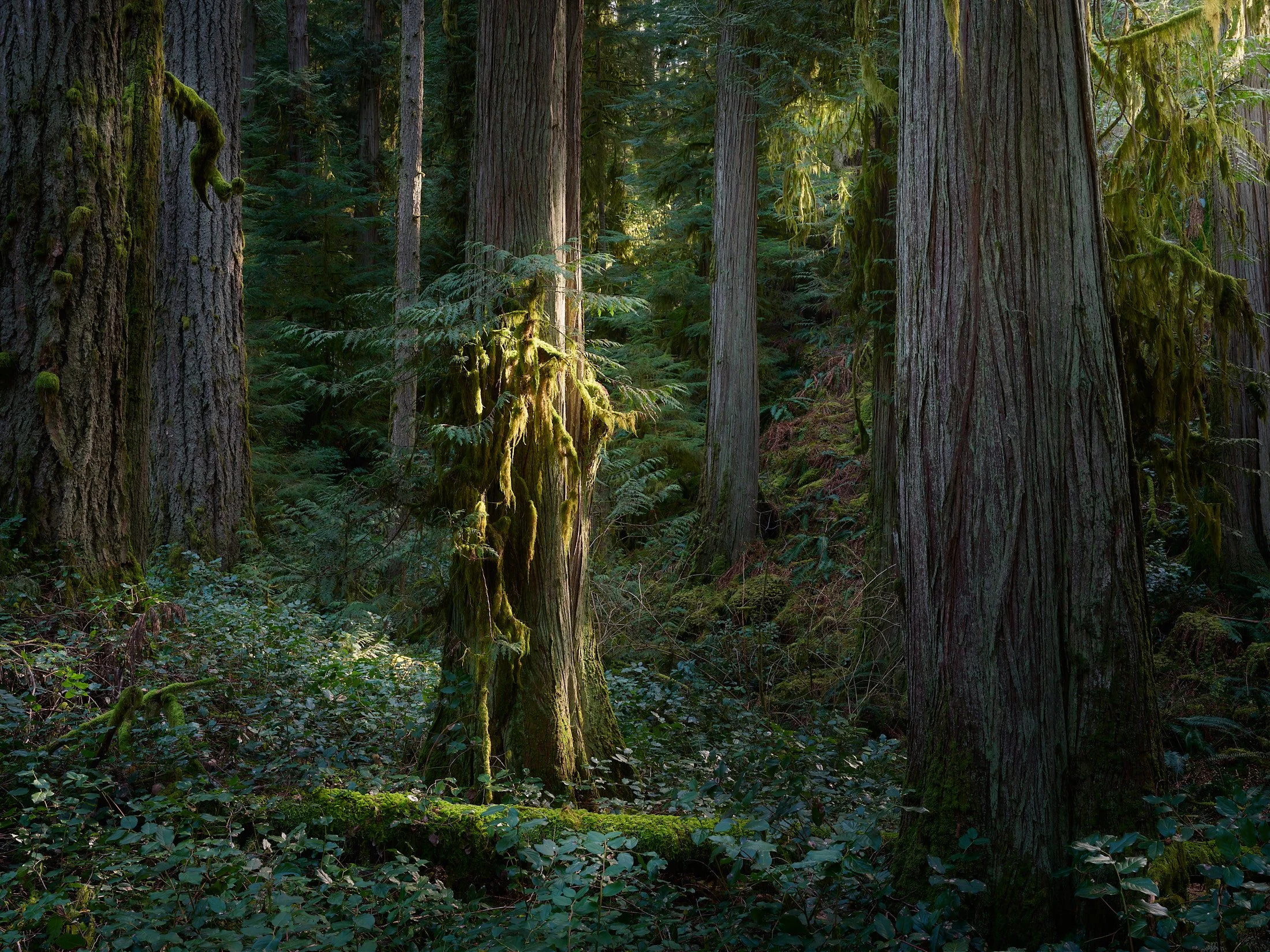 A witch and her apprentice