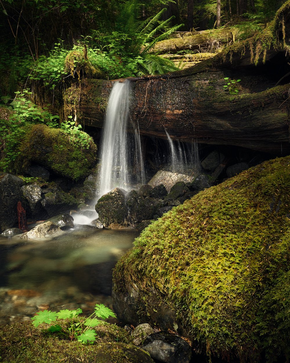 Froggyfalls