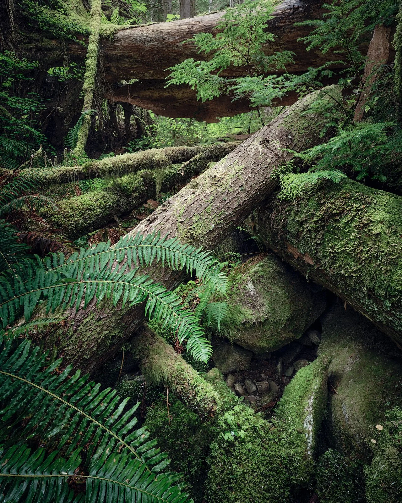 Cornerstone temptation