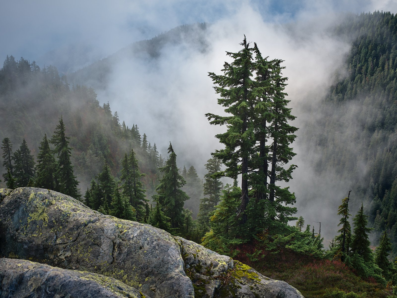 Cypress provincial park.