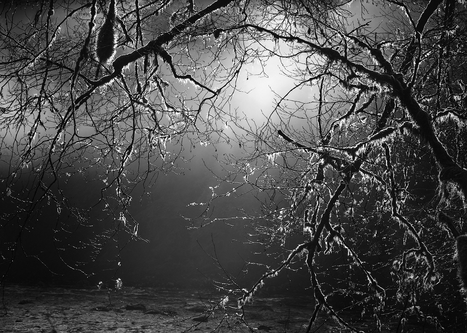 Celestial mist