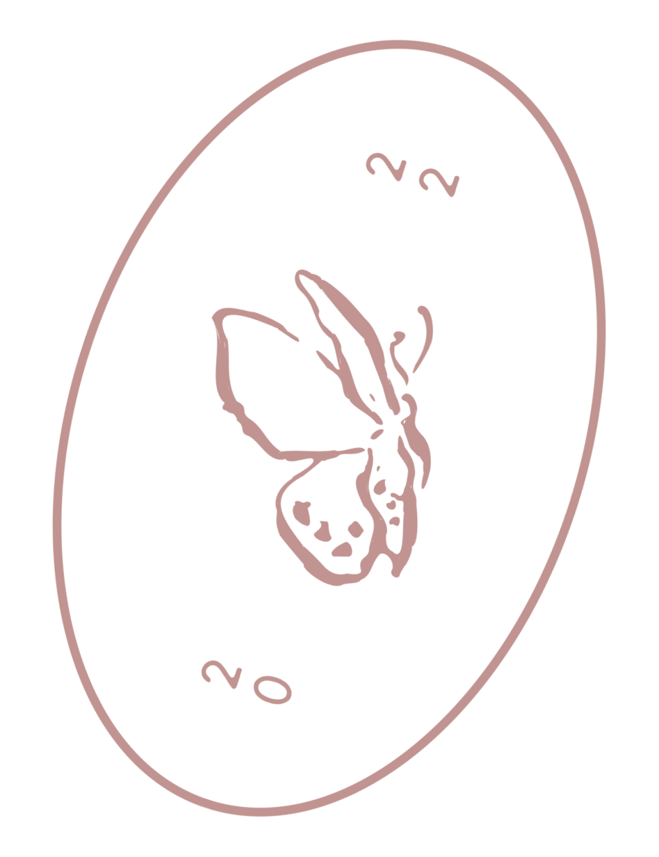 Simplified line drawing of a butterfly in pink on a black background, wrapped in an oval border with the numbers 2 and 20 inside.