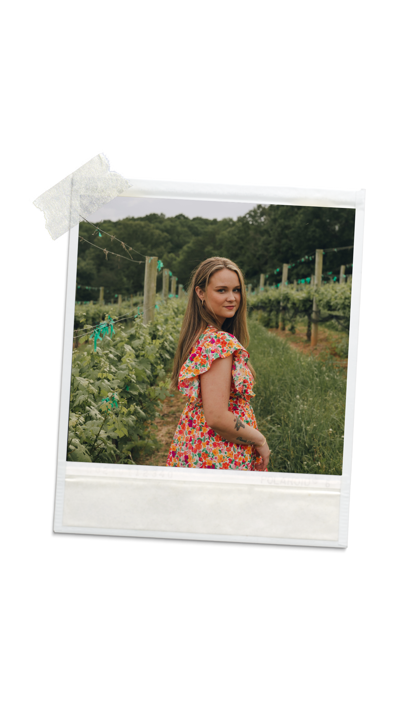 A young woman in a colorful floral dress standing in a vineyard with green grapevines and a grassy path, overlooking a lush, tree-covered landscape.