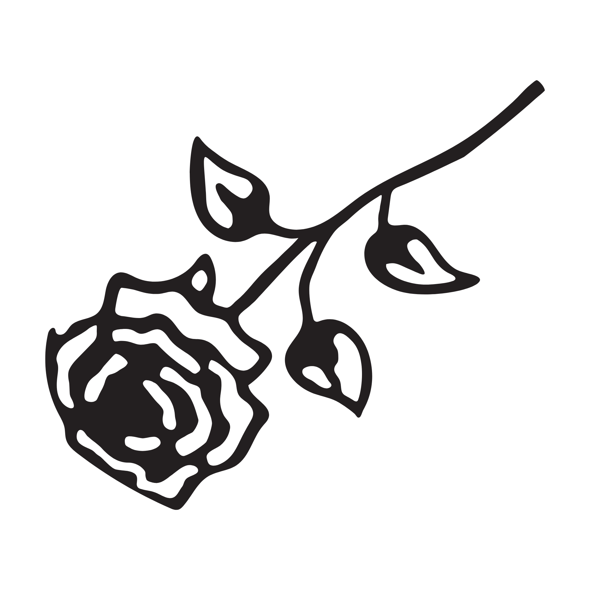 Make Background Transparent.png