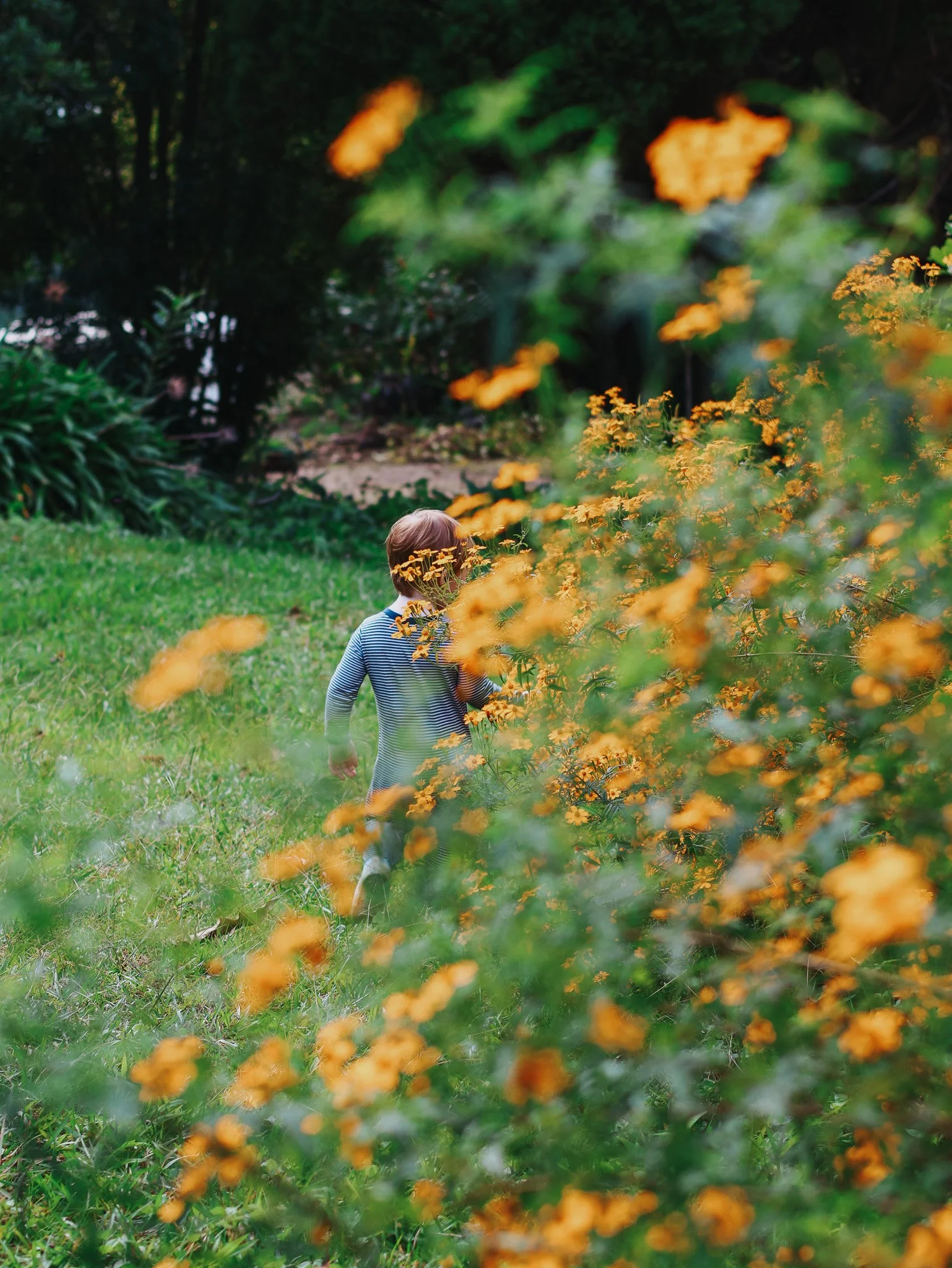 Child with short hair wearing a striped shirt is walking through a lush garden with green grass, orange flowers, and trees in the background.