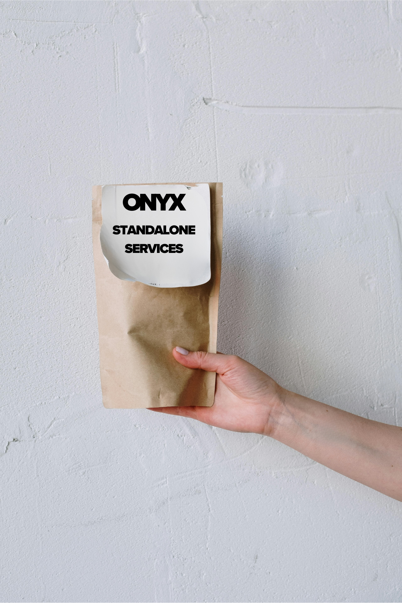A hand holding a brown paper bag labeled 'ONYX Standalone Services' against a white textured wall.