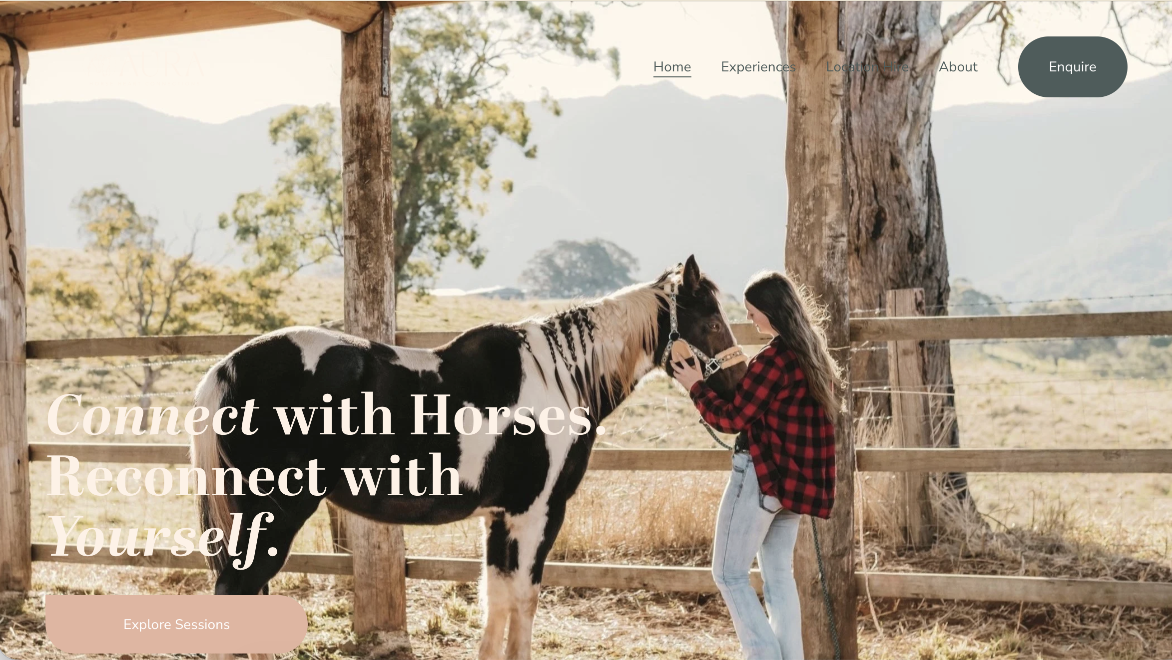 Aura Horse Heart Connections