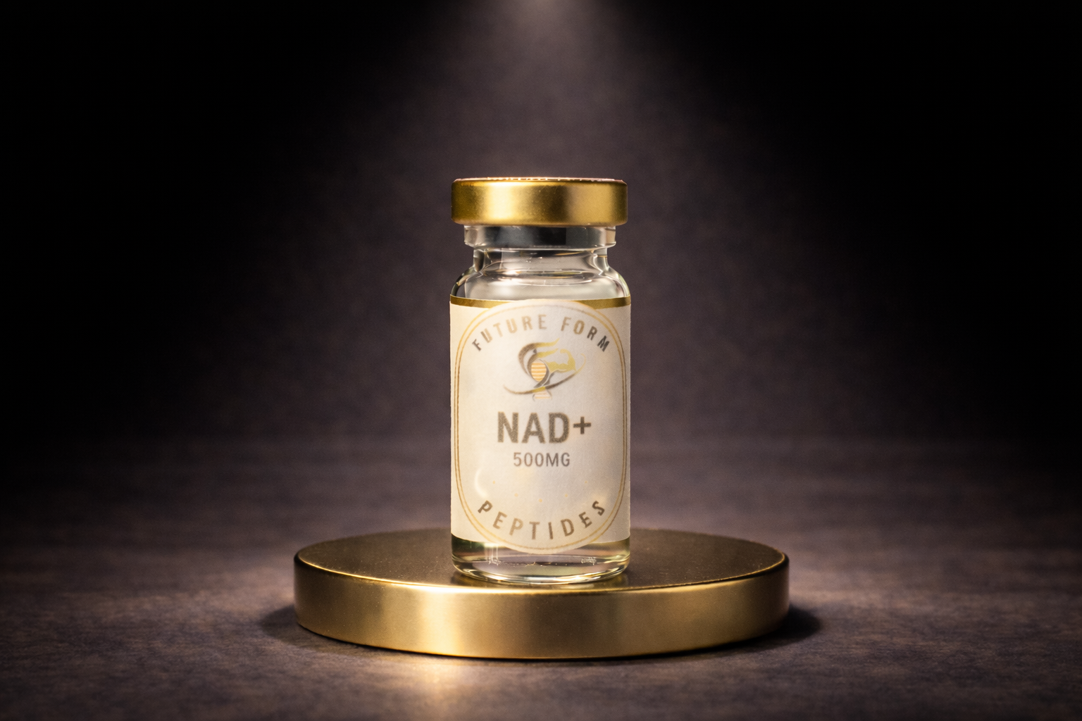 ChatGPT Image Feb 3, 2026, 02_37_23 PM.png