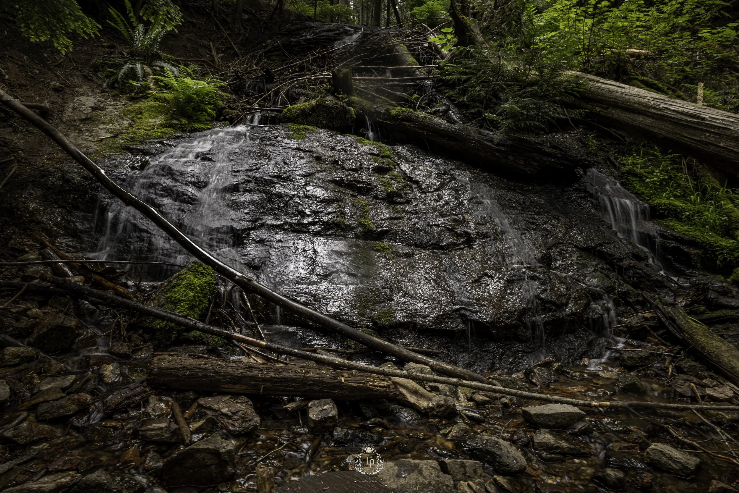 Small waterfall flowing over rocks in a forested area, with fallen logs and lush green foliage surrounding the scene.
