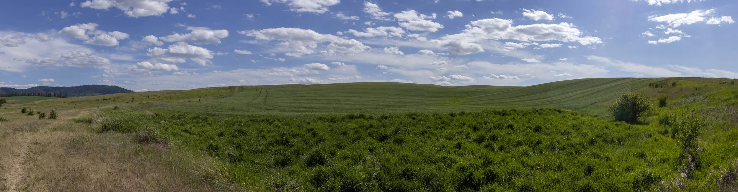 A wide landscape view of rolling green fields under a partly cloudy blue sky with some distant trees and hills.