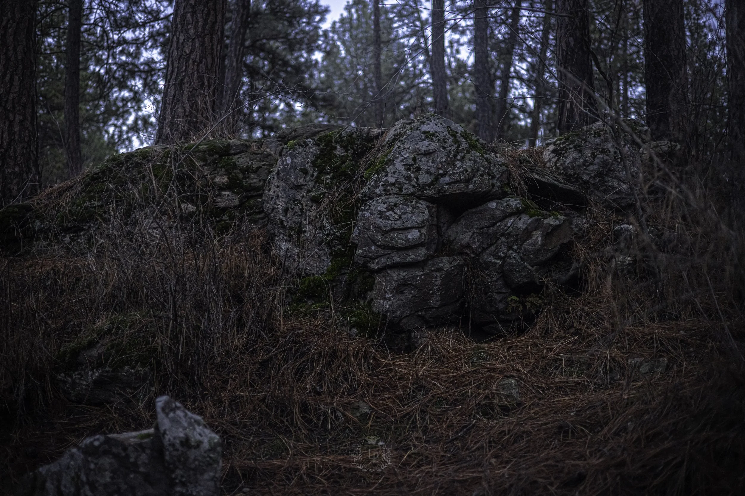 A large moss-covered rock formation in a forest with tall trees and pine needles on the ground.