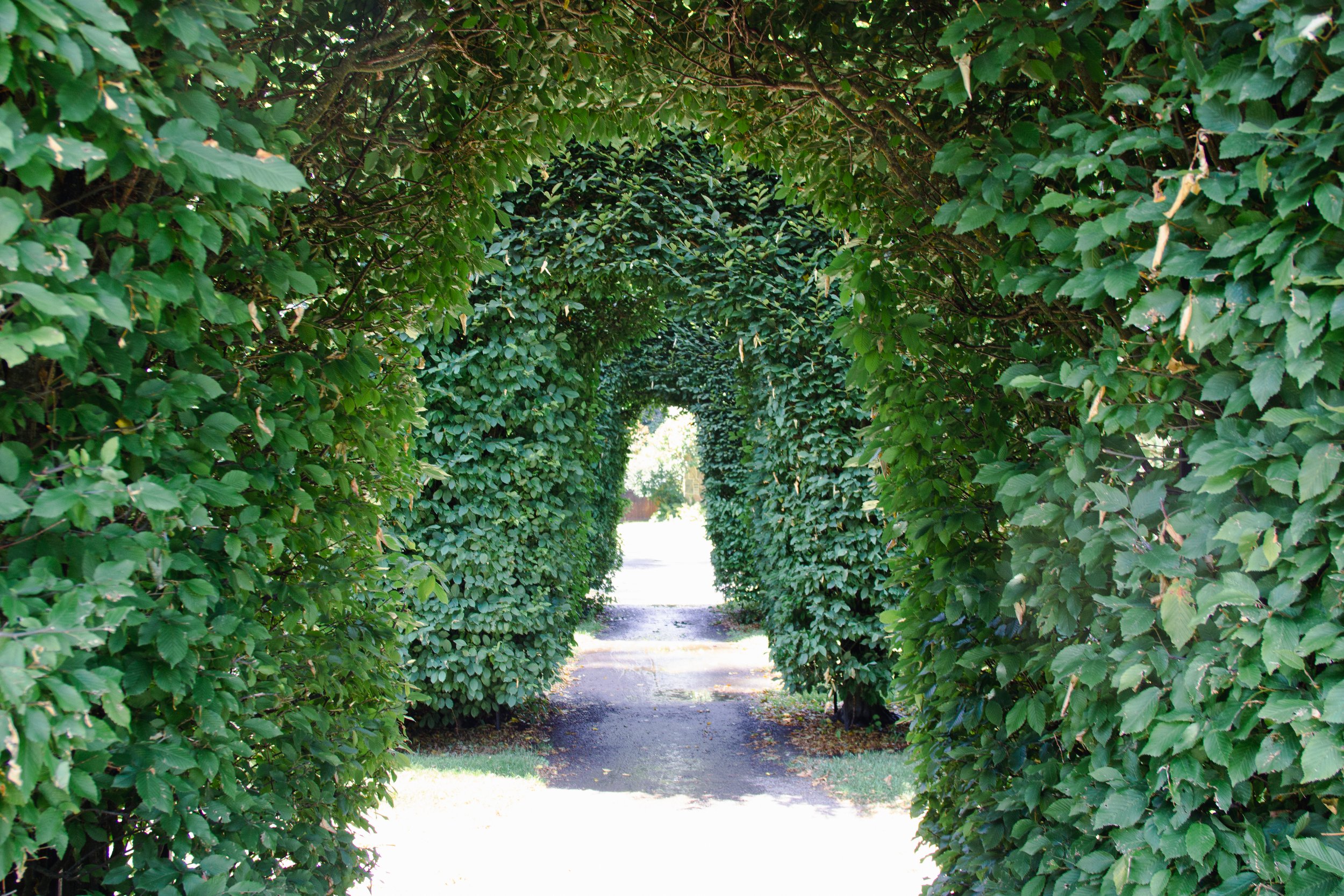 garden-hedge-archway-green-lush-outdoor-wedding-venue-photography.jpg
