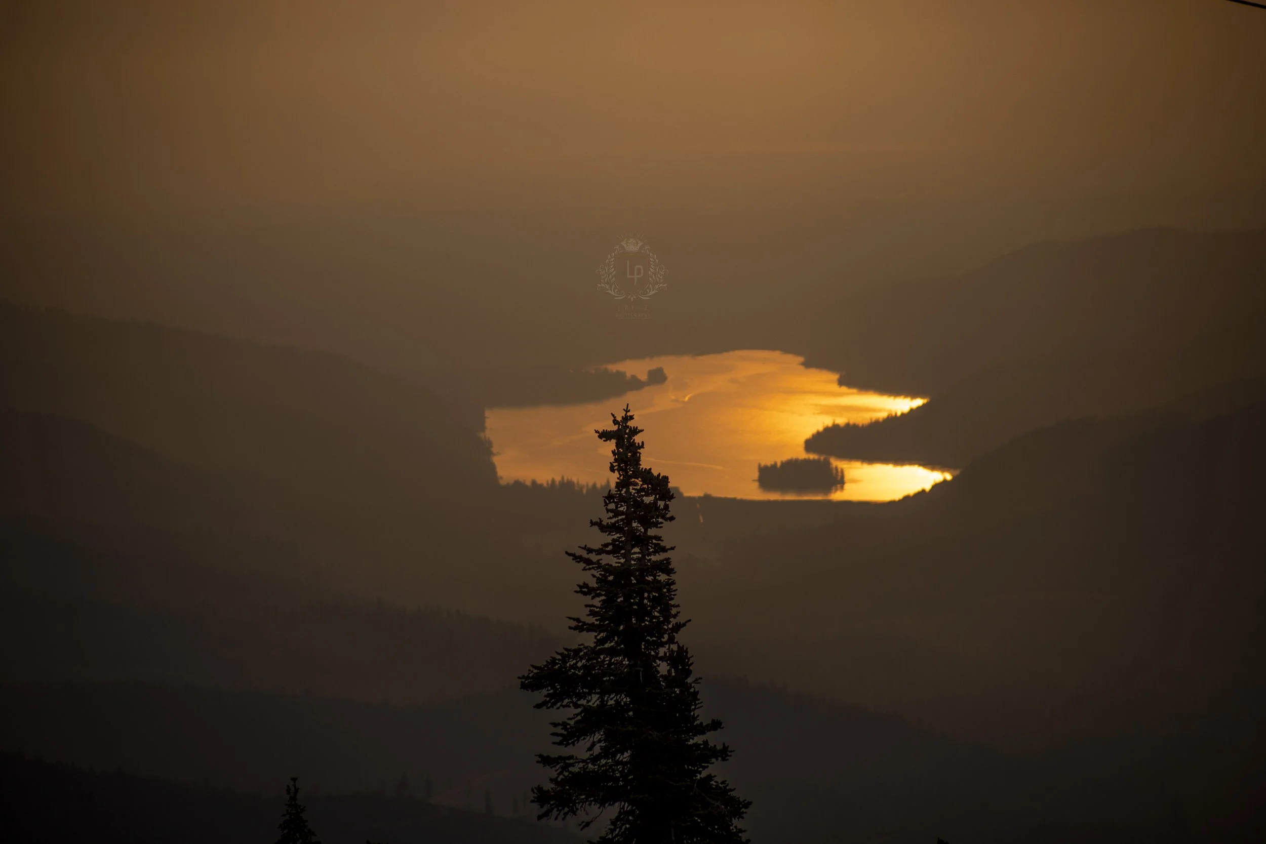 Silhouette of a pine tree overlooking a layered mountain landscape at sunset, with a reflection on a body of water in the distance.