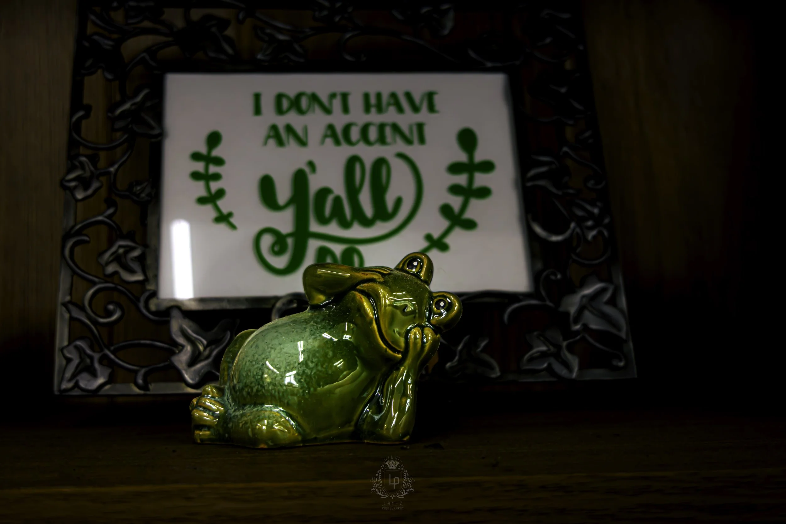 dont-have-an-accent-yall-sign-decorative-frog-humor-photography.jpg