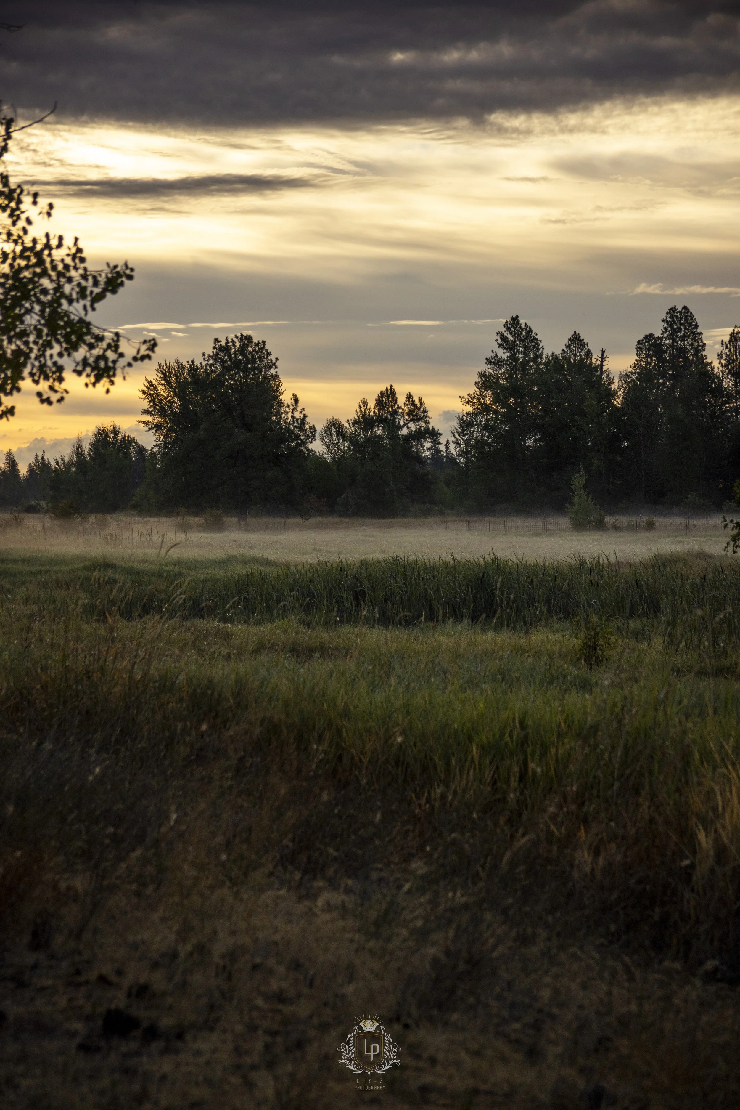 A peaceful landscape scene of a grassy field with a line of trees in the distance under a dramatic cloudy sky during sunset, with mist rising from the ground.