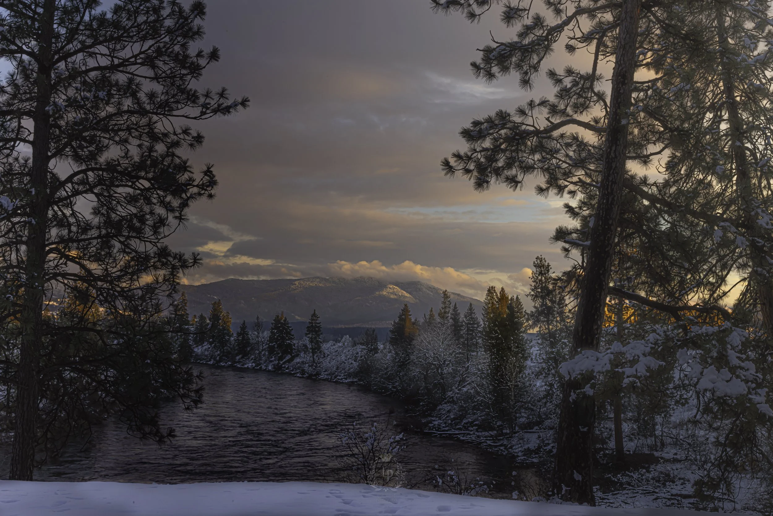 Snow-covered trees along a river at sunset with mountains in the background.