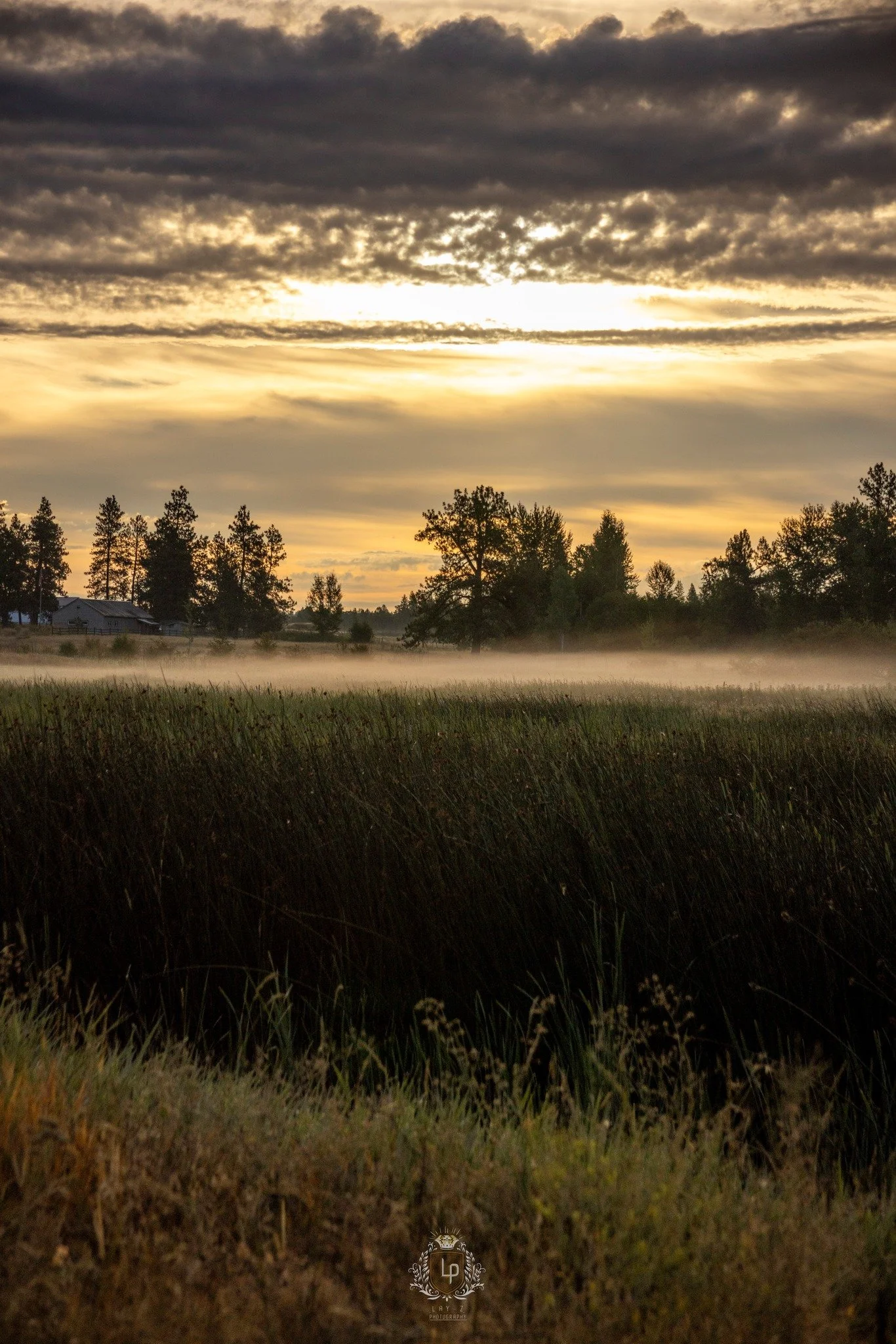 A sunrise over a field with tall grass, trees, and a house in the distance, with mist rising close to the ground and clouds partially obscuring the sun.