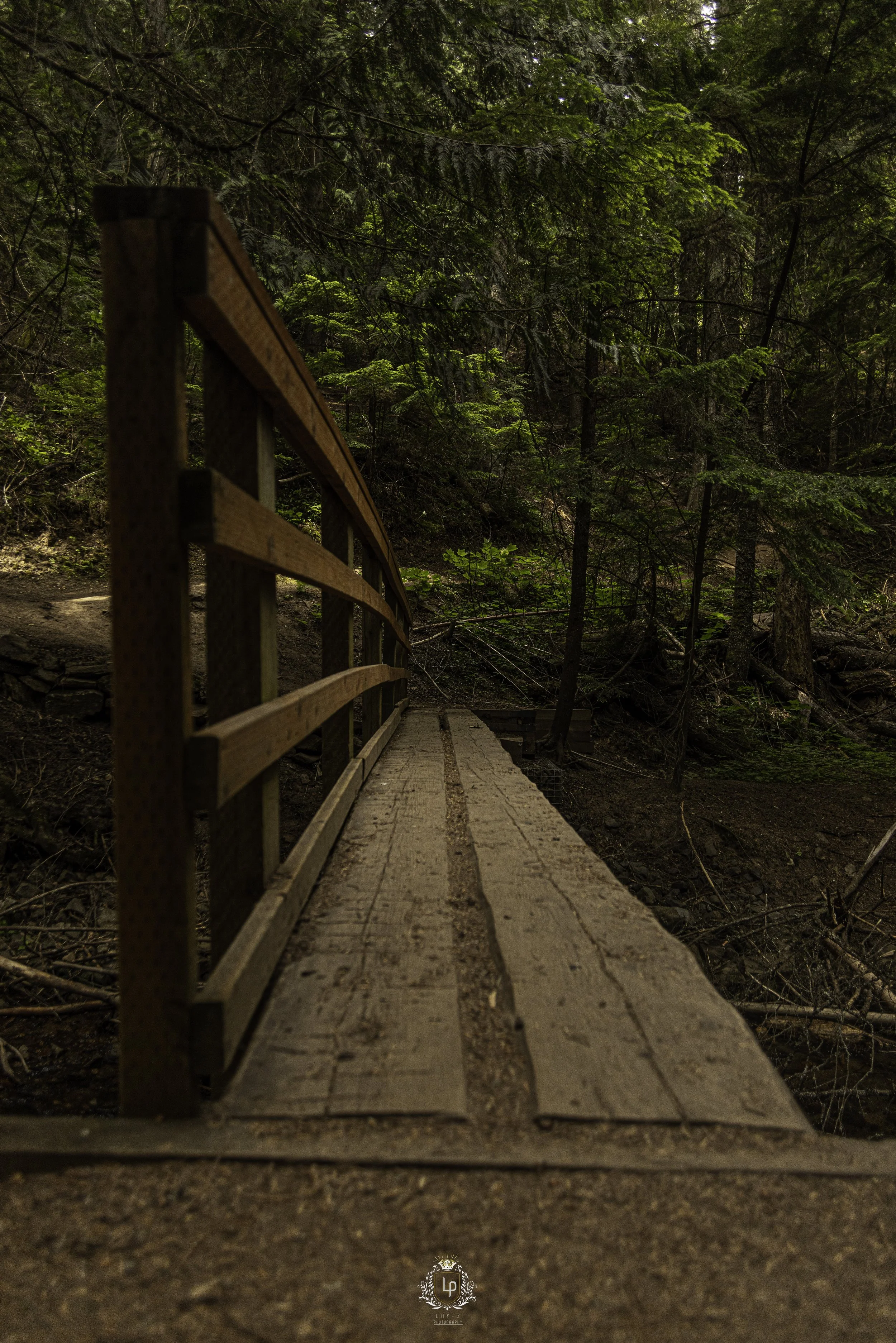 A wooden boardwalk with a railing extends into a lush green forest, surrounded by tall trees and dense foliage.