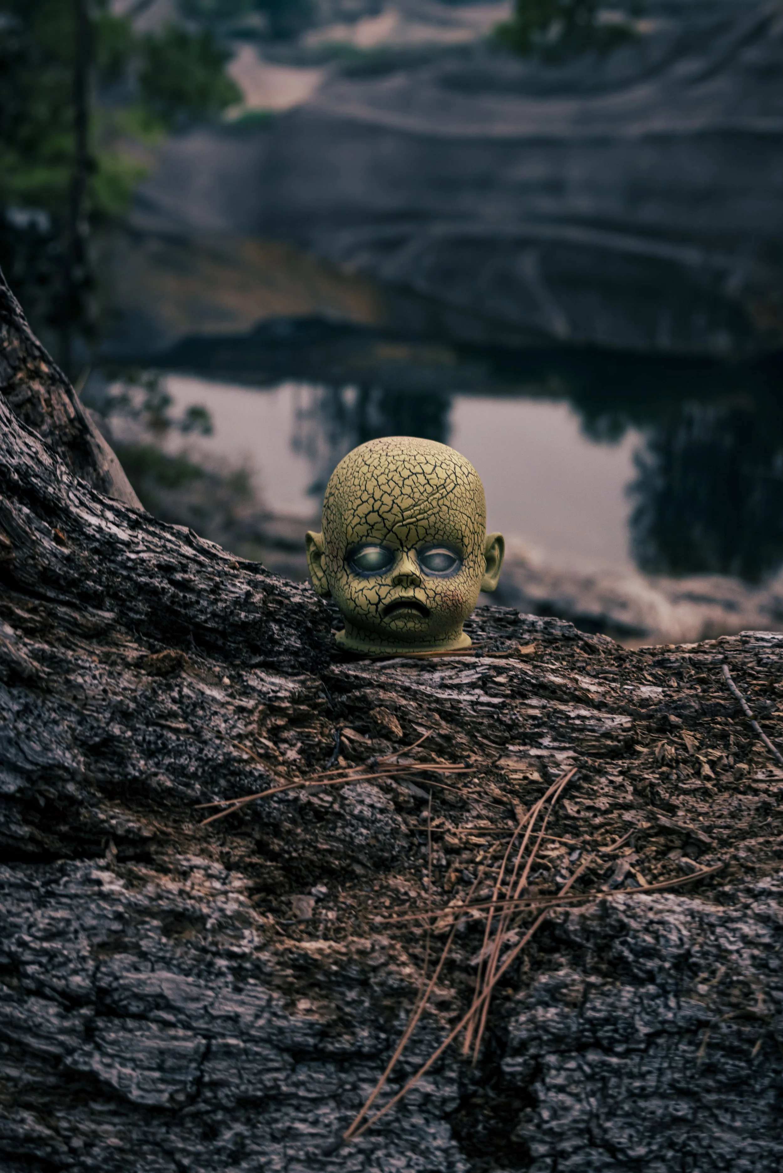 A cracked, pale green zombie baby doll head with blue eyes on a fallen tree trunk in a forest by a river with large rock formations in the background.
