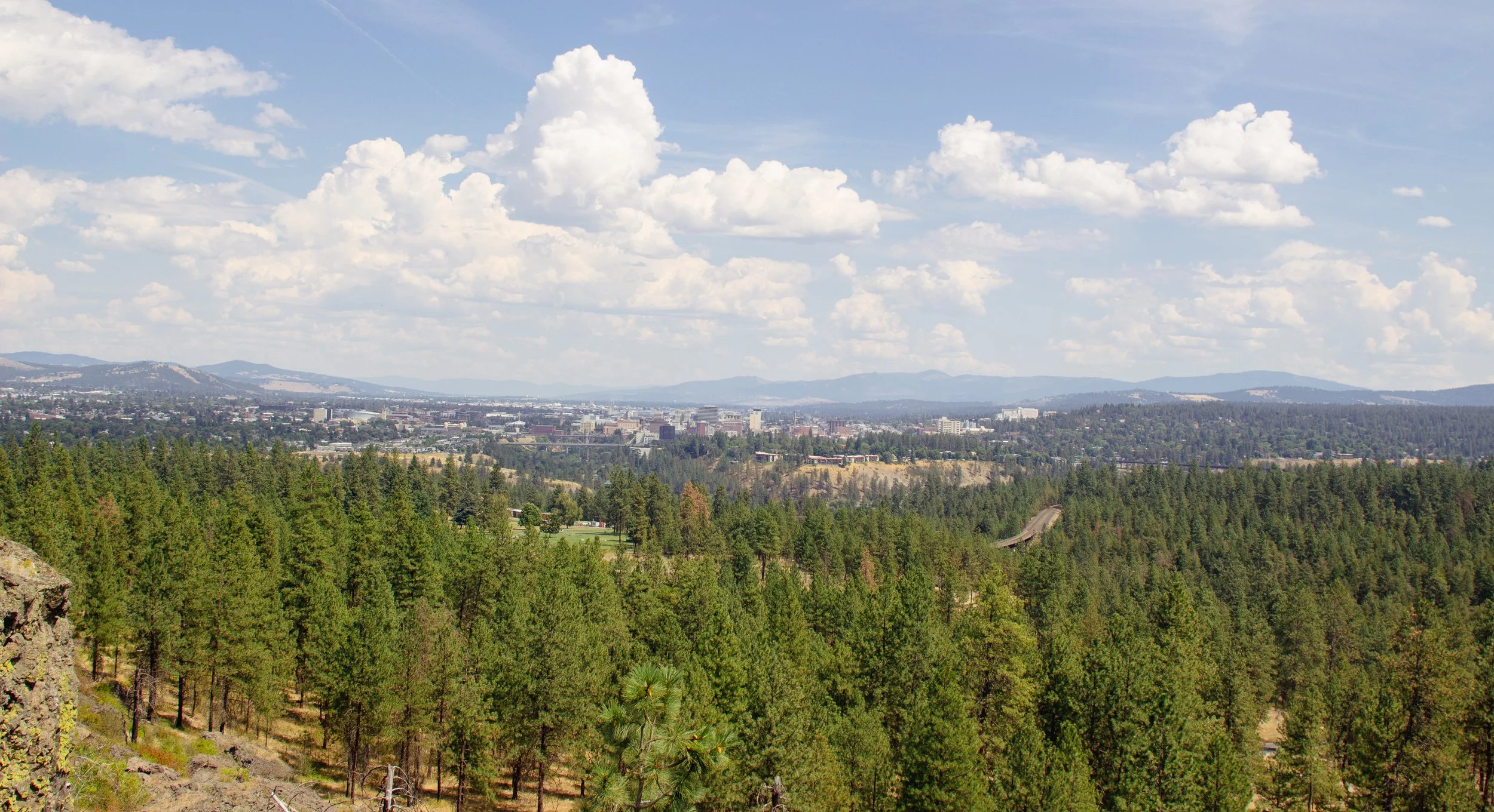 spokane-washington-city-panoramic-aerial-view-pine-forest-landscape-photography.jpg