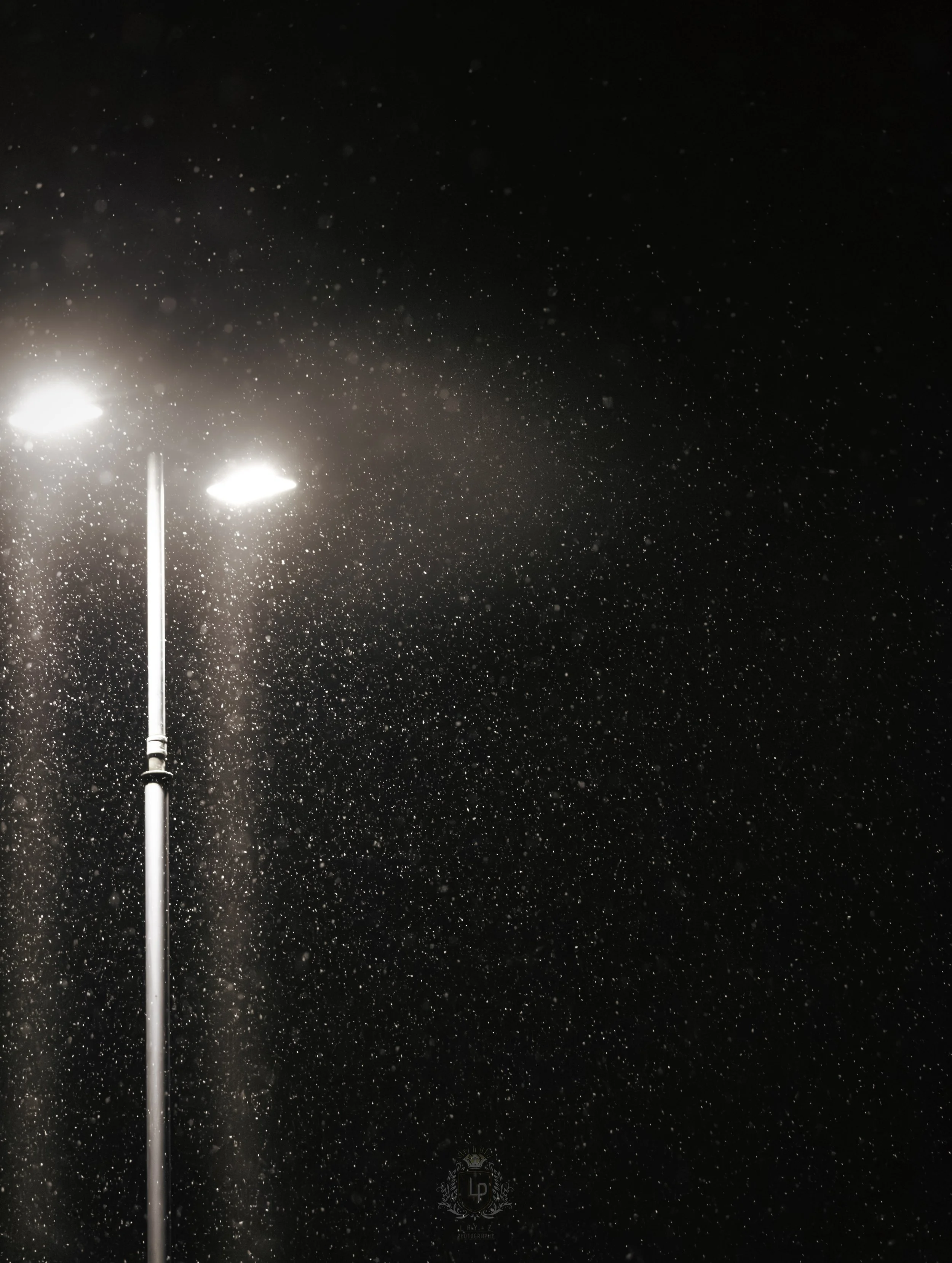 Night sky with snow falling illuminated by two streetlights.