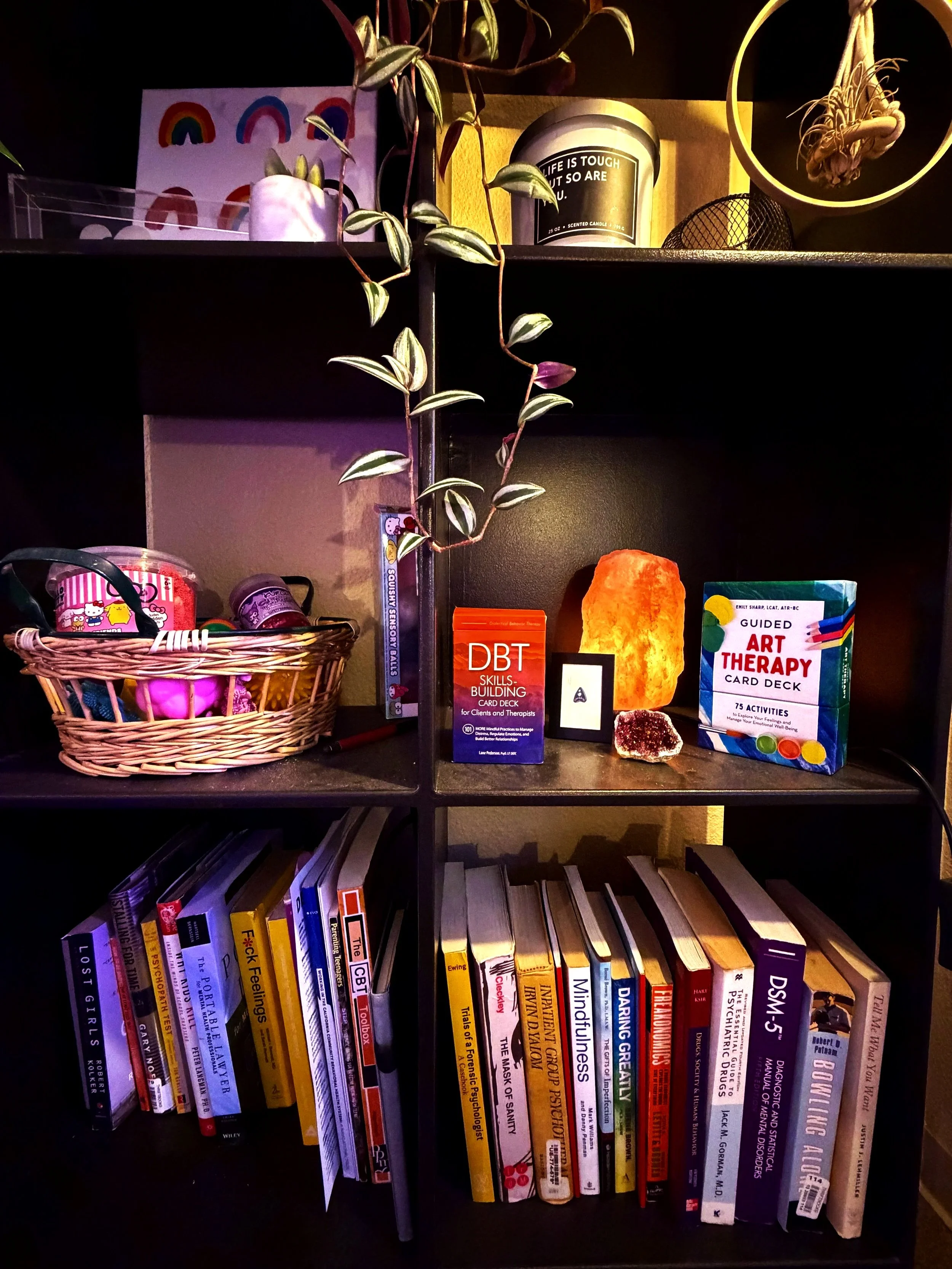 A black bookshelf with three shelves containing books, a basket with craft supplies and fidgets, a salt lamp, a small framed picture, a salt rock, and art therapy card deck, with a hanging plant and a colorful rainbow picture in the background.
