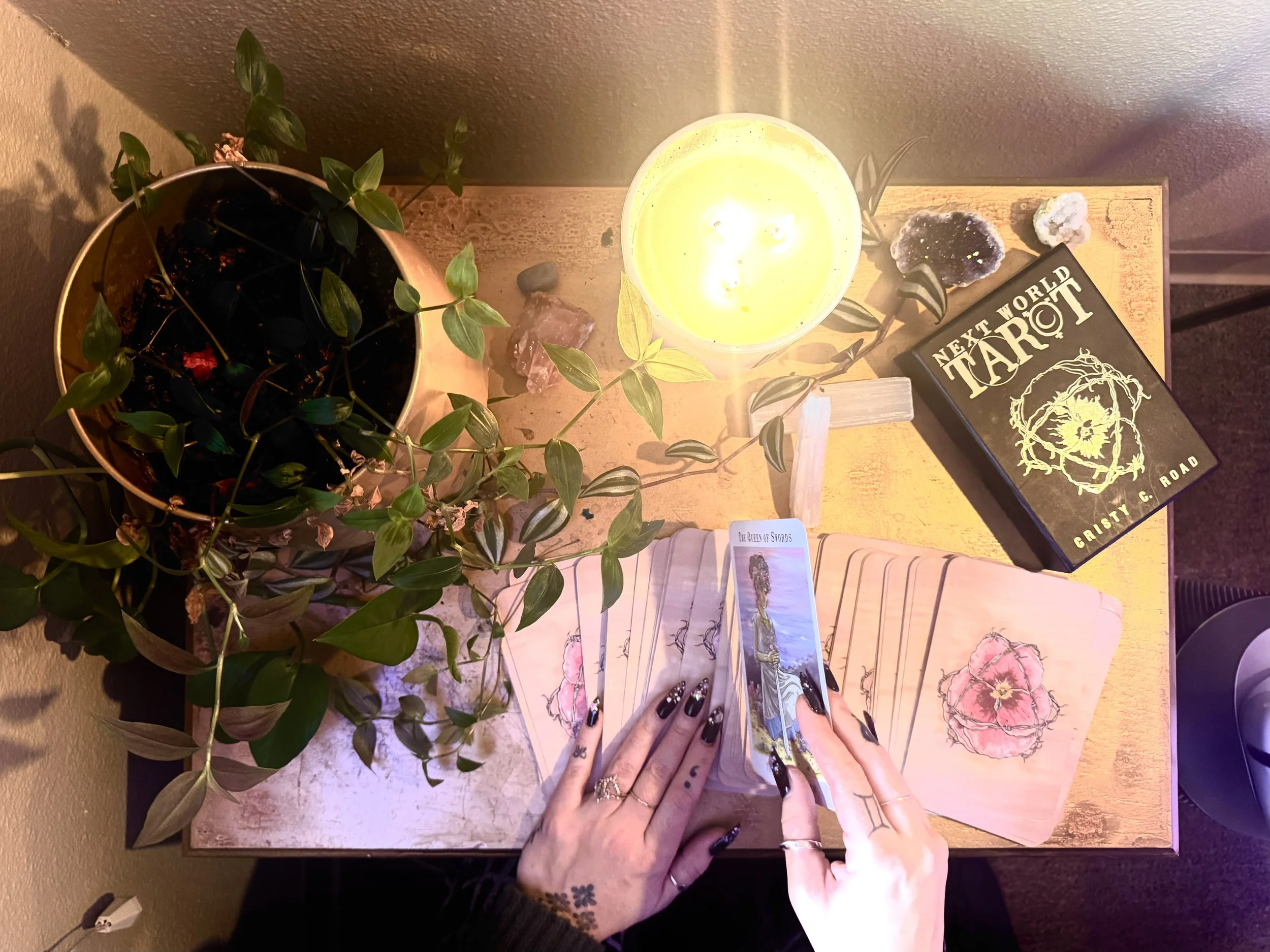 A person shuffles tarot cards on a wooden table with a plant in a pot, a lit yellow candle, a candle holder, various crystals, and a tarot deck titled "Next World Tarot" on the right side.