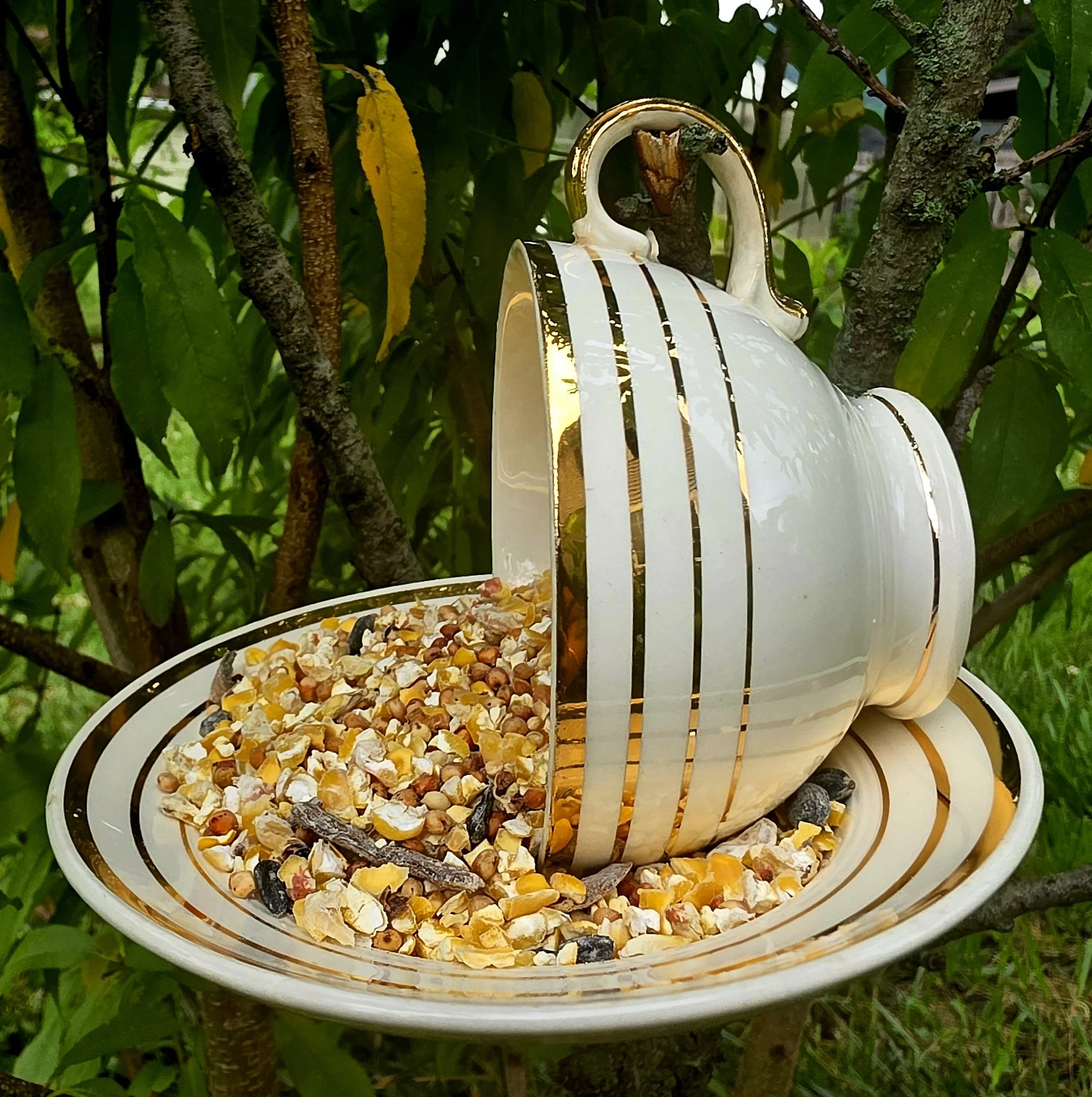 Upcycled Vintage Teacup Bird Feeder