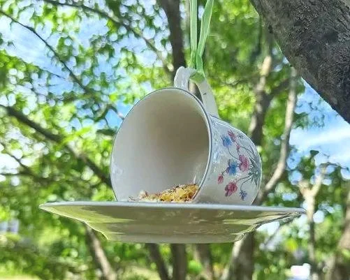 garden tea party teacup bird feeder with seed on tree branch