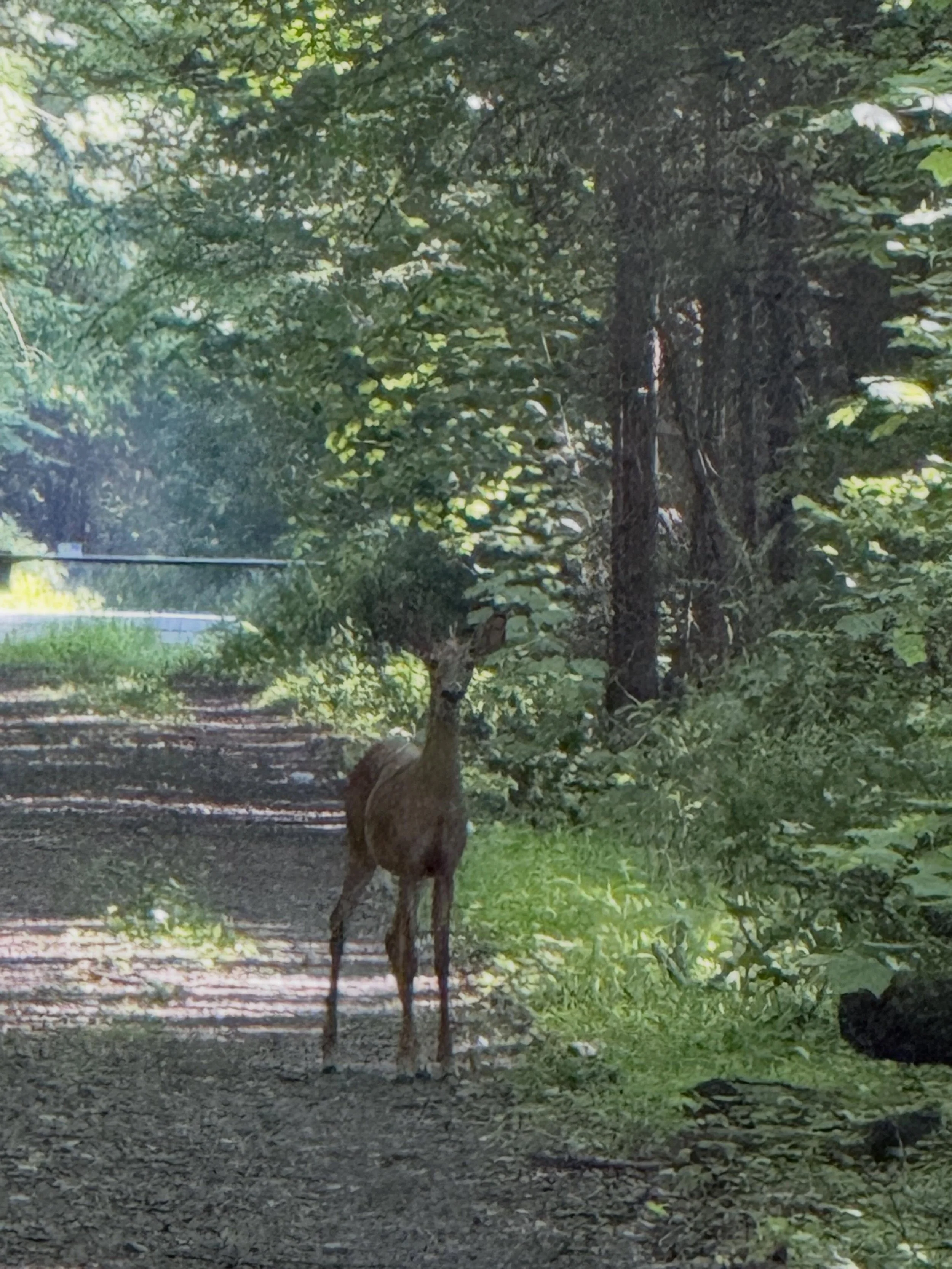 It&rsquo;s important to love your local wildlife