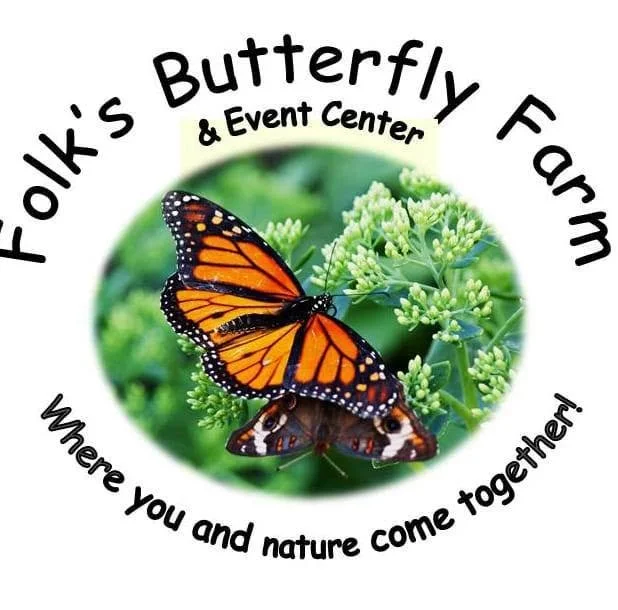 Craft Show at the Butterfly Farm