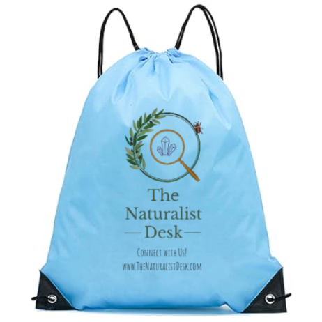 The Naturalist Desk Blue Backpack Adventure Bag.png