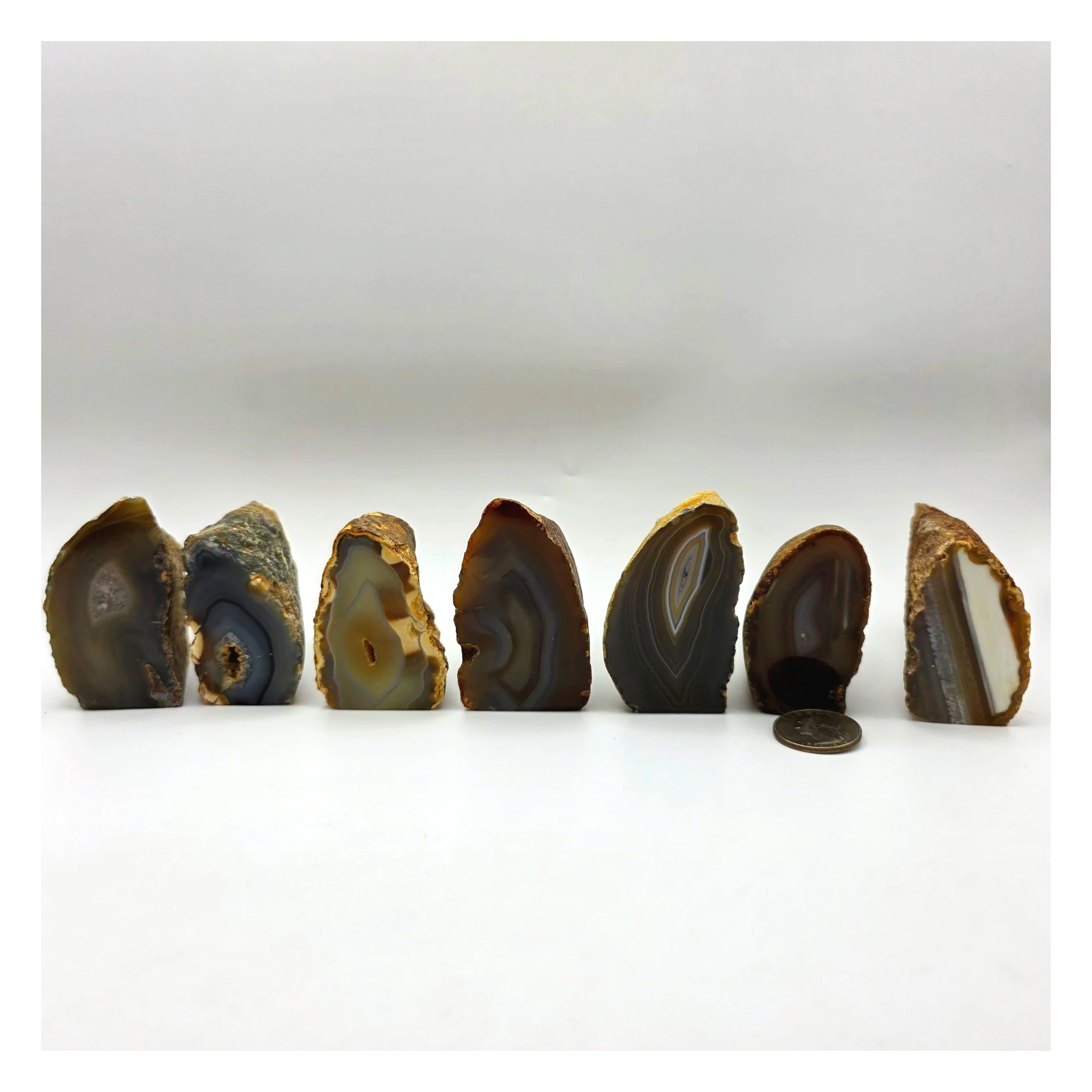 Natural Polished Agate Nodule Specimen