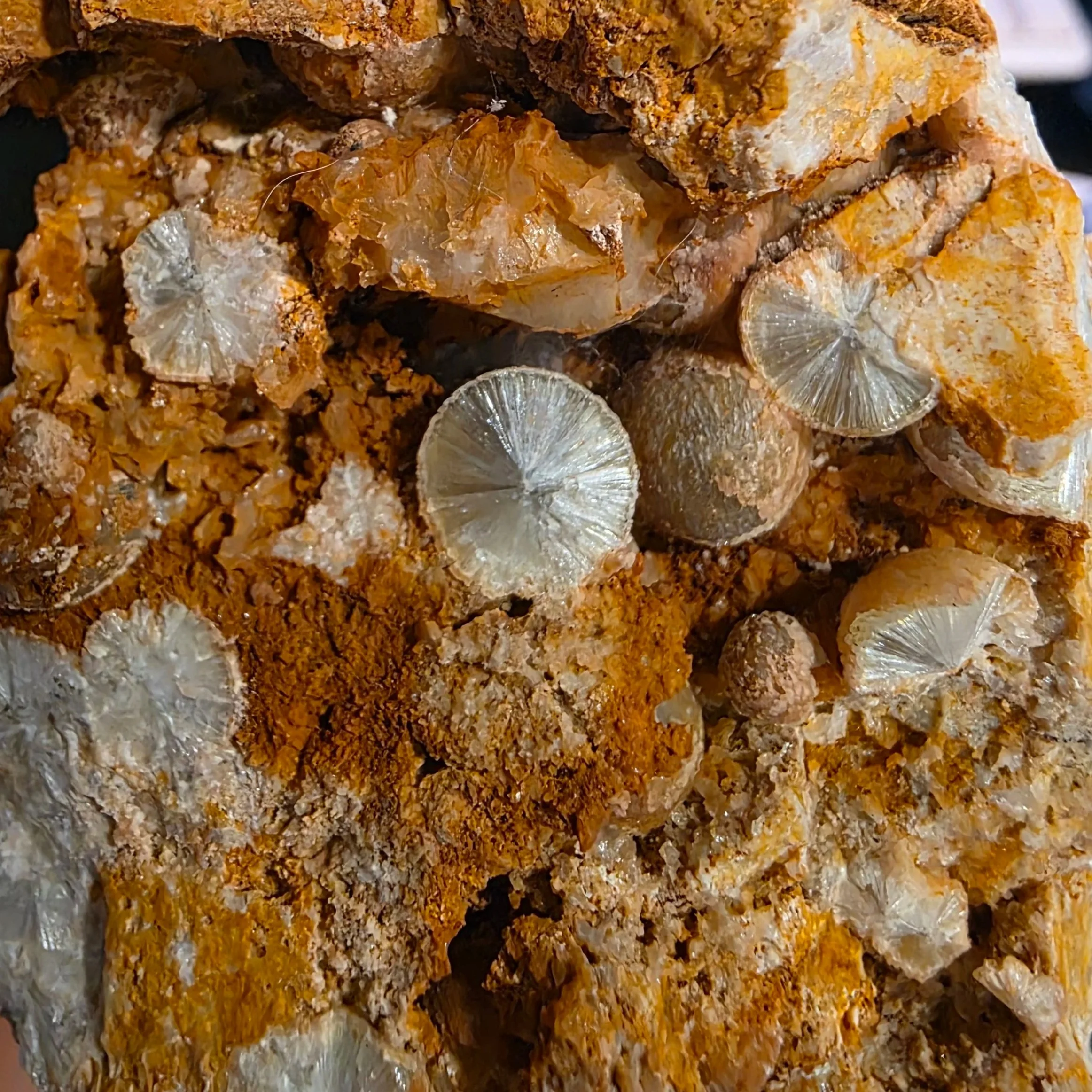 radial+wavellite+crystal+structure.jpg