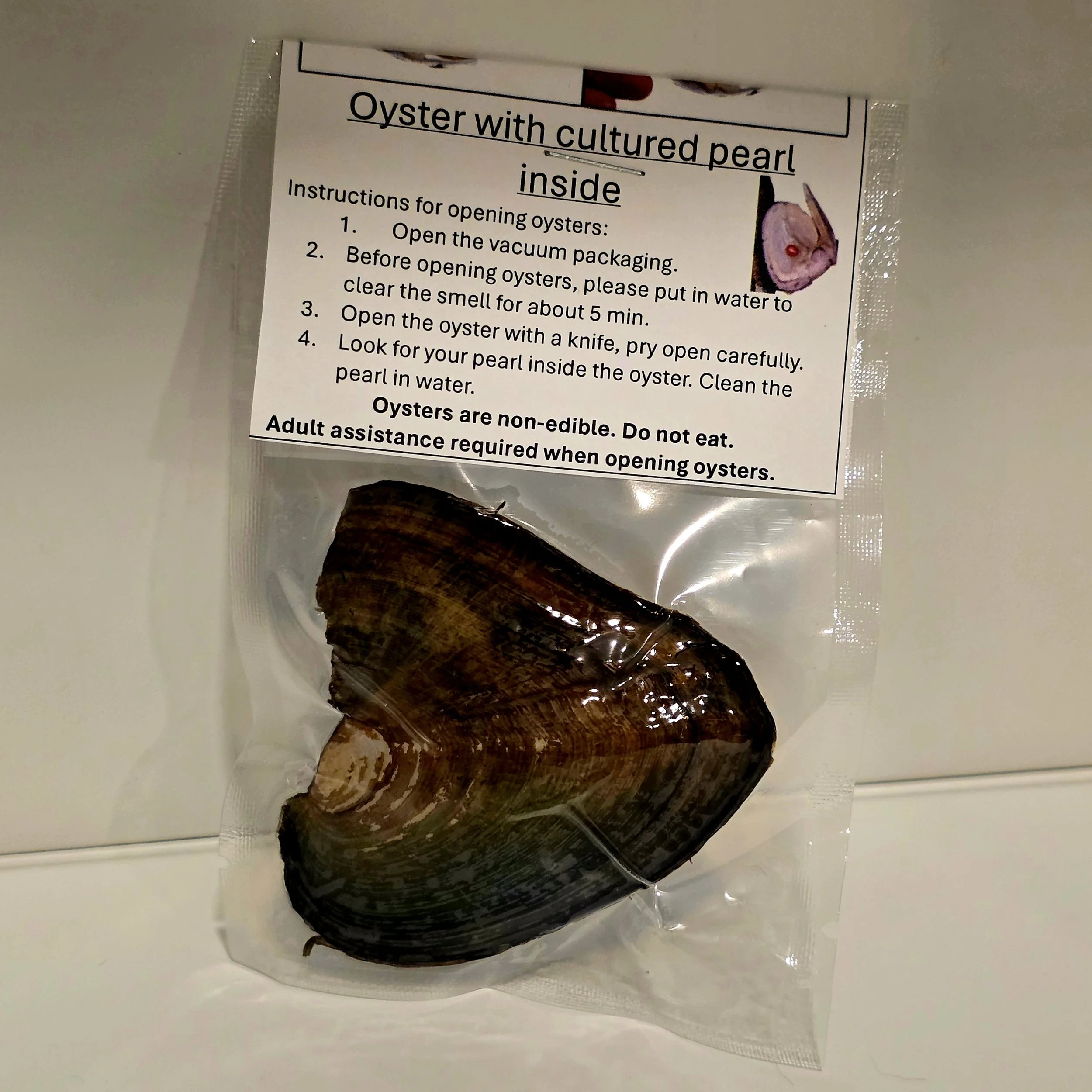 oyster with cultured pearl