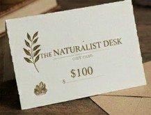 100 gift card value.jpg