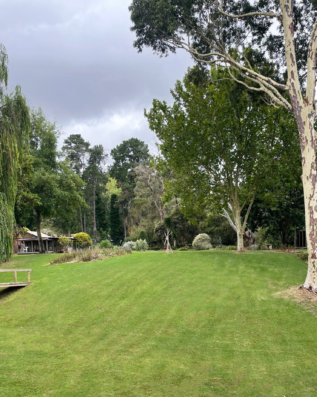 Lawn mowing mornington peninsula