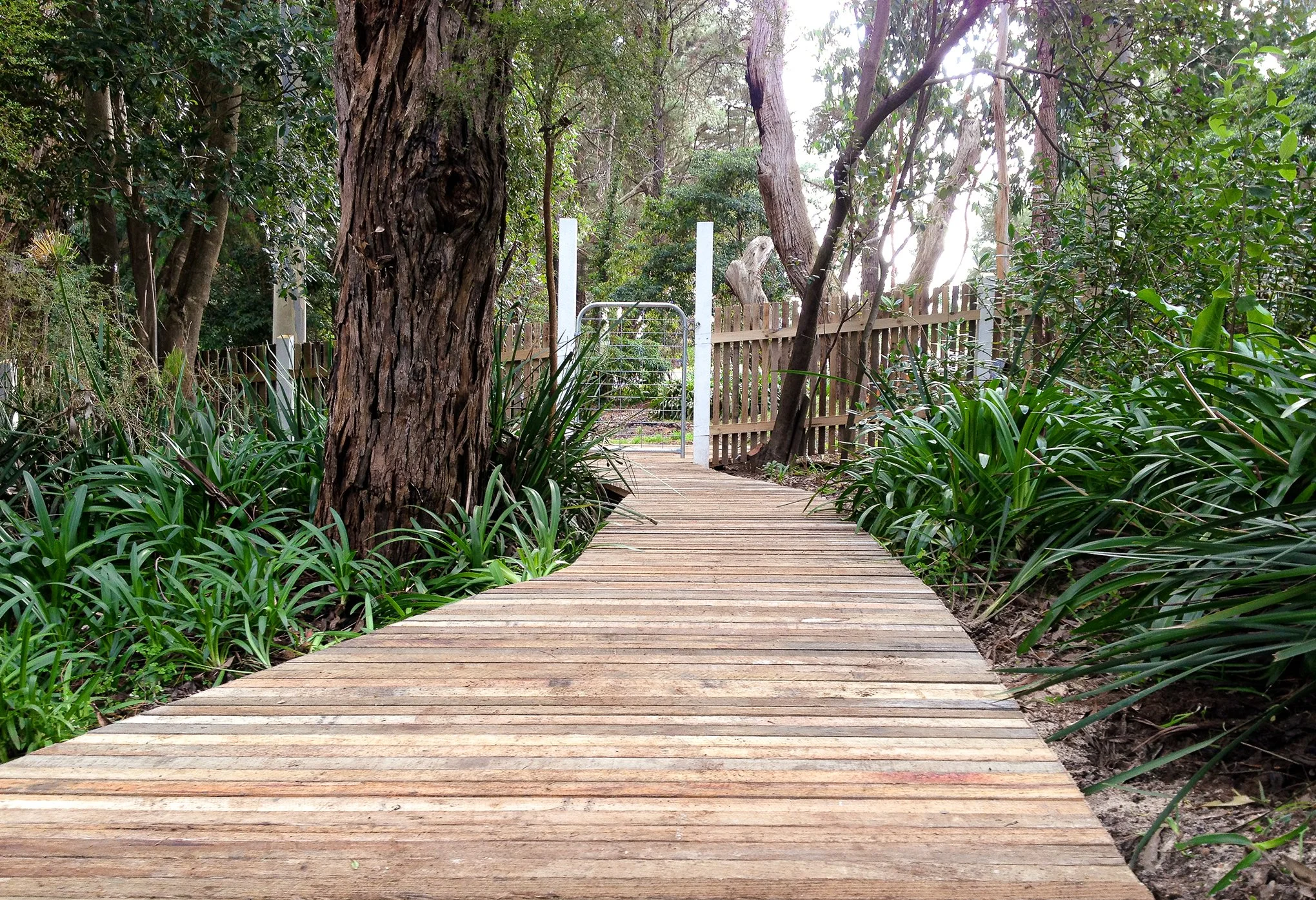 Shoreham Project: Rustic Boardwalk