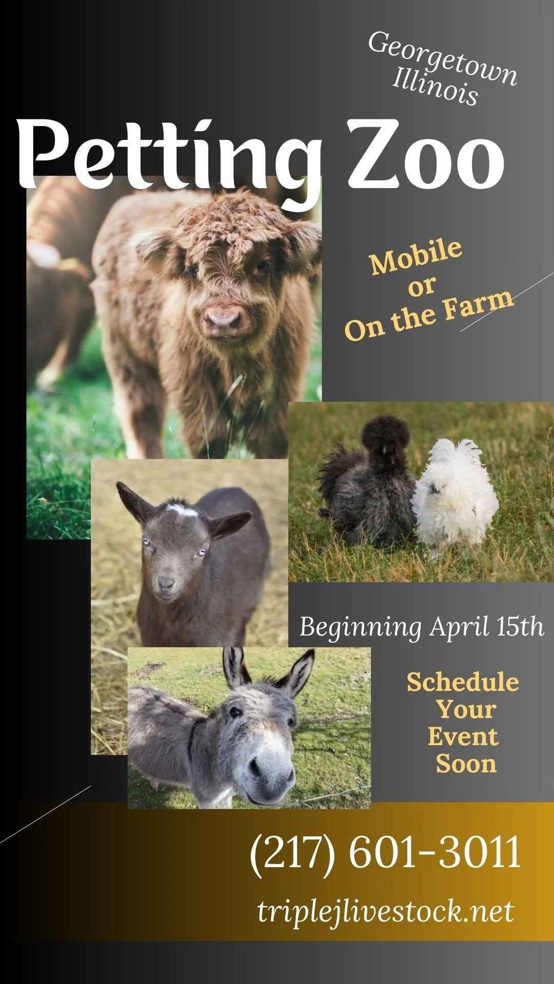 tik (Mobile Video).jpg