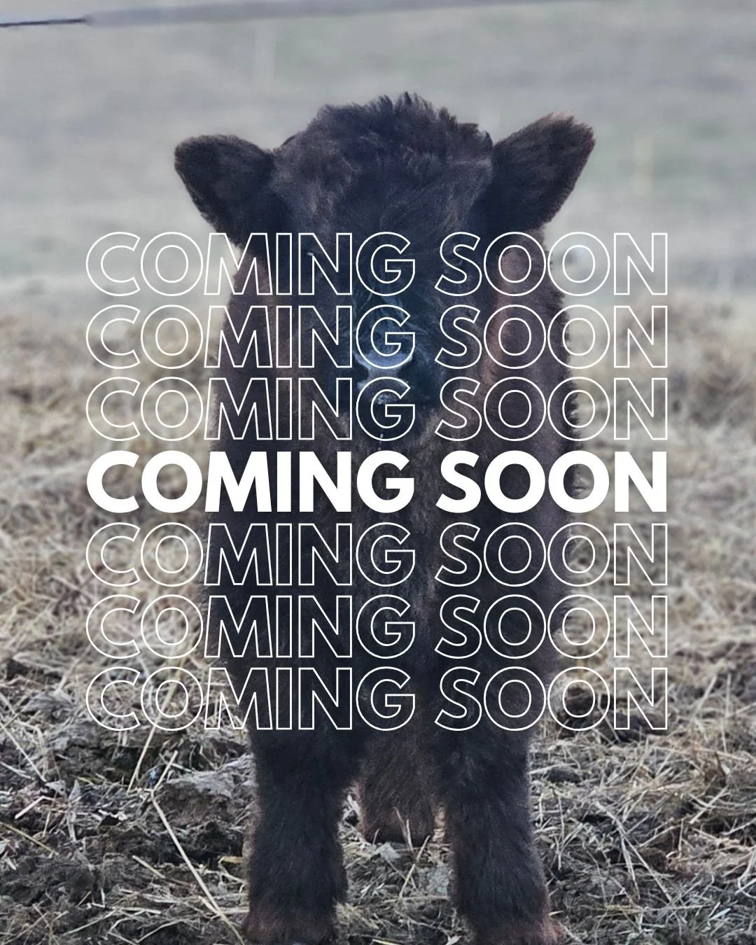 30 Minute Cuddle -CHILD