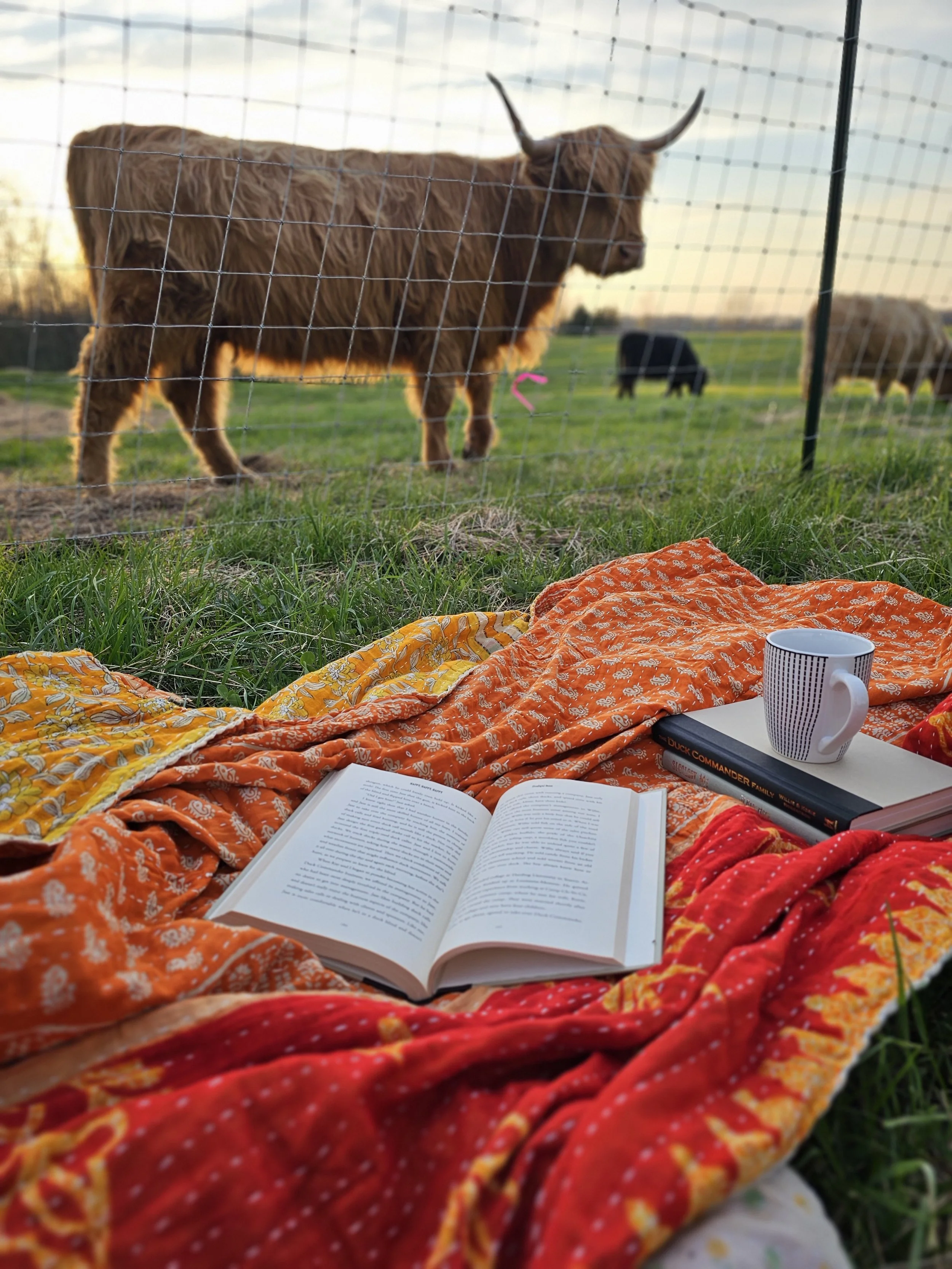 Cows & Coffee May 23, 2026  10AM Adults only