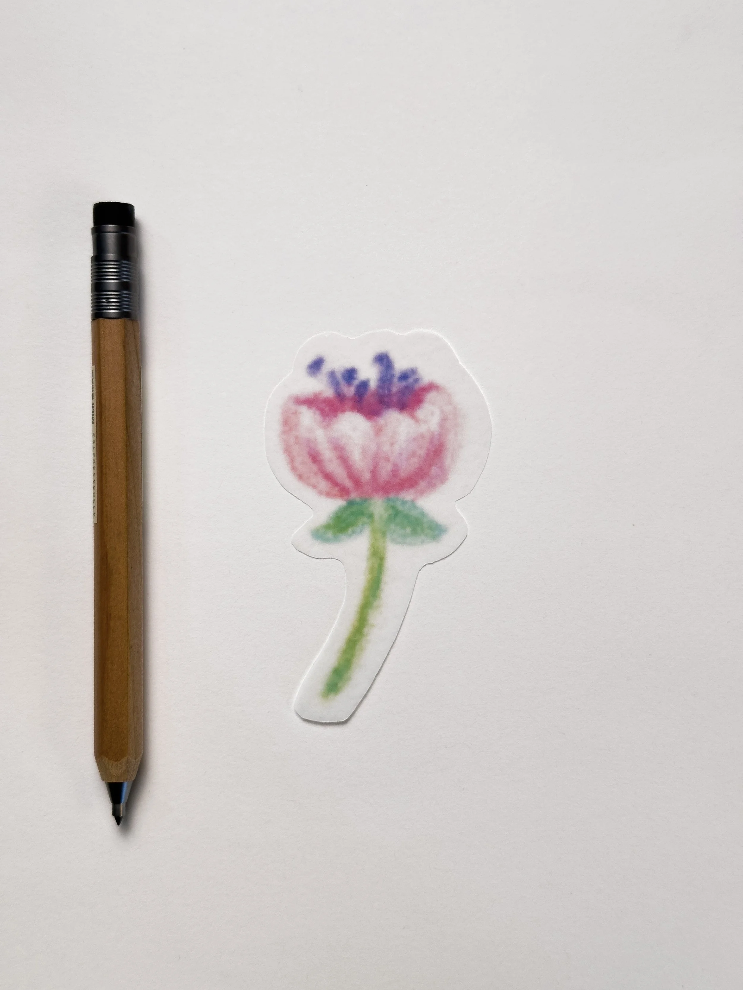 Palm Springs Desert Bloom Die-Cut Washi Sticker Pack