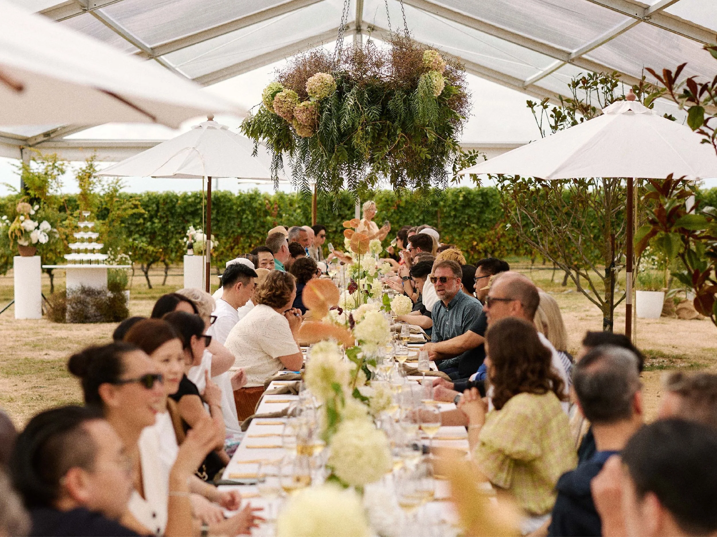 Cloudy Bay 40th Anniversary