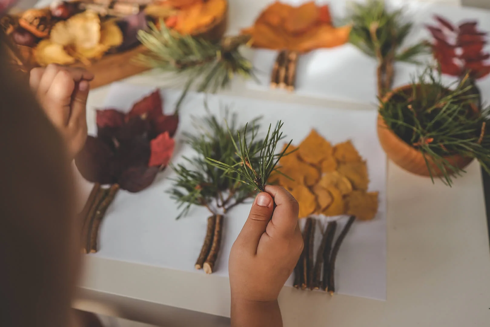 Child's hand holding natural art supplies, sticks, leaves, and pine needle bunches while sat at a white work table.