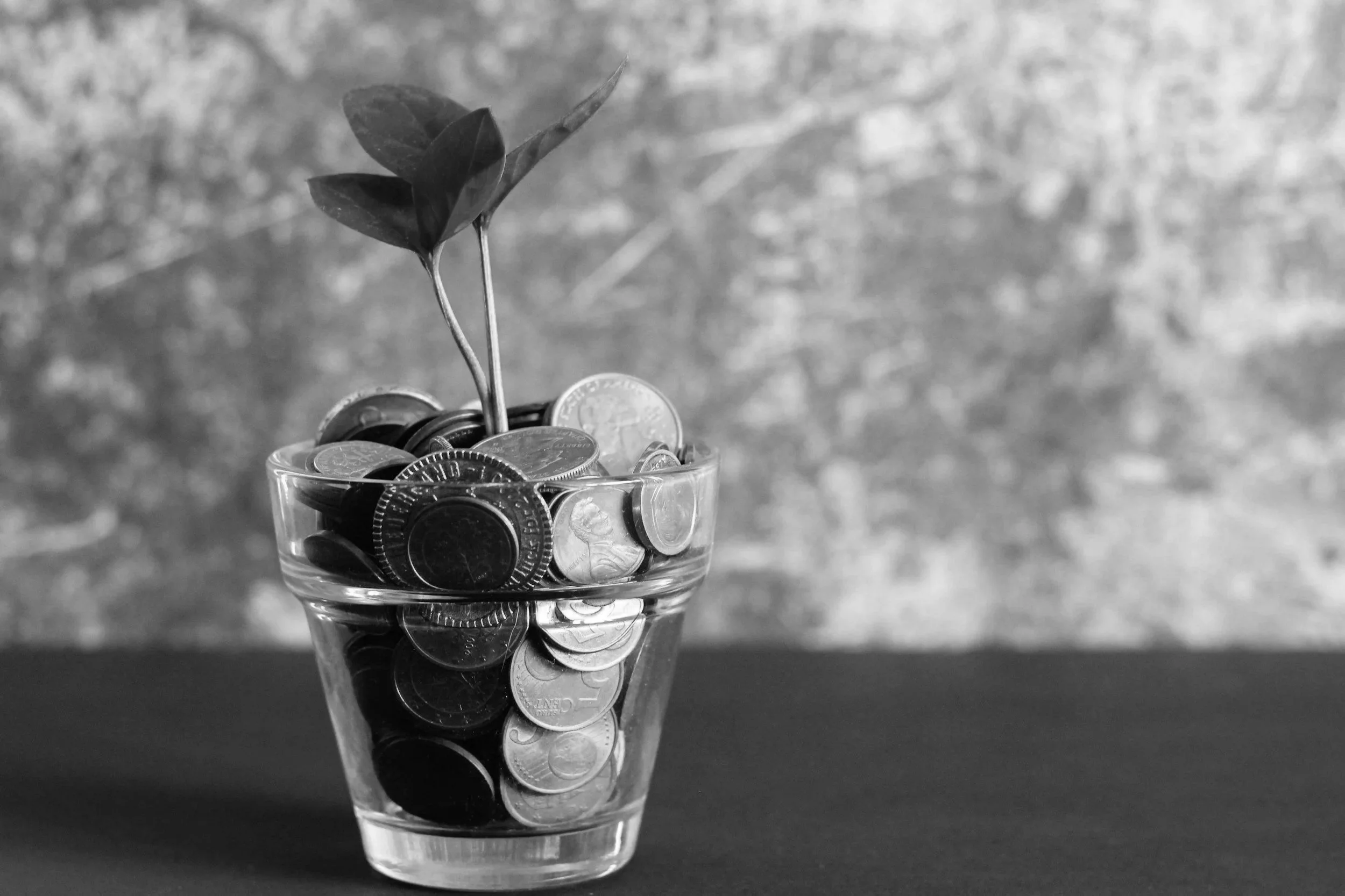 A glass filled with coins and a small plant with leaves growing out of it, on a flat surface with a textured background.