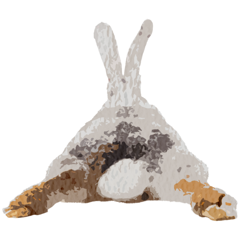 BunnyButt.png