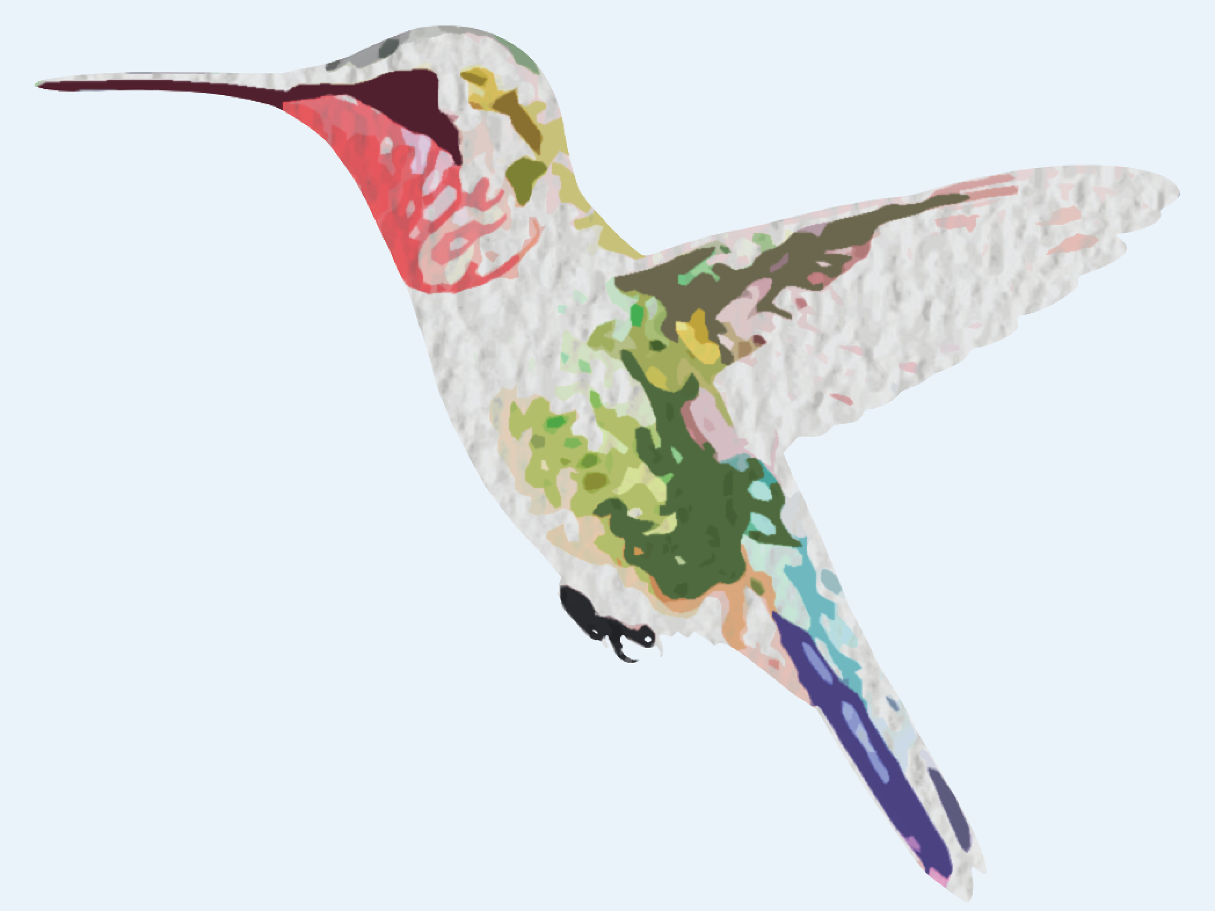 HummingbirdDesign.png